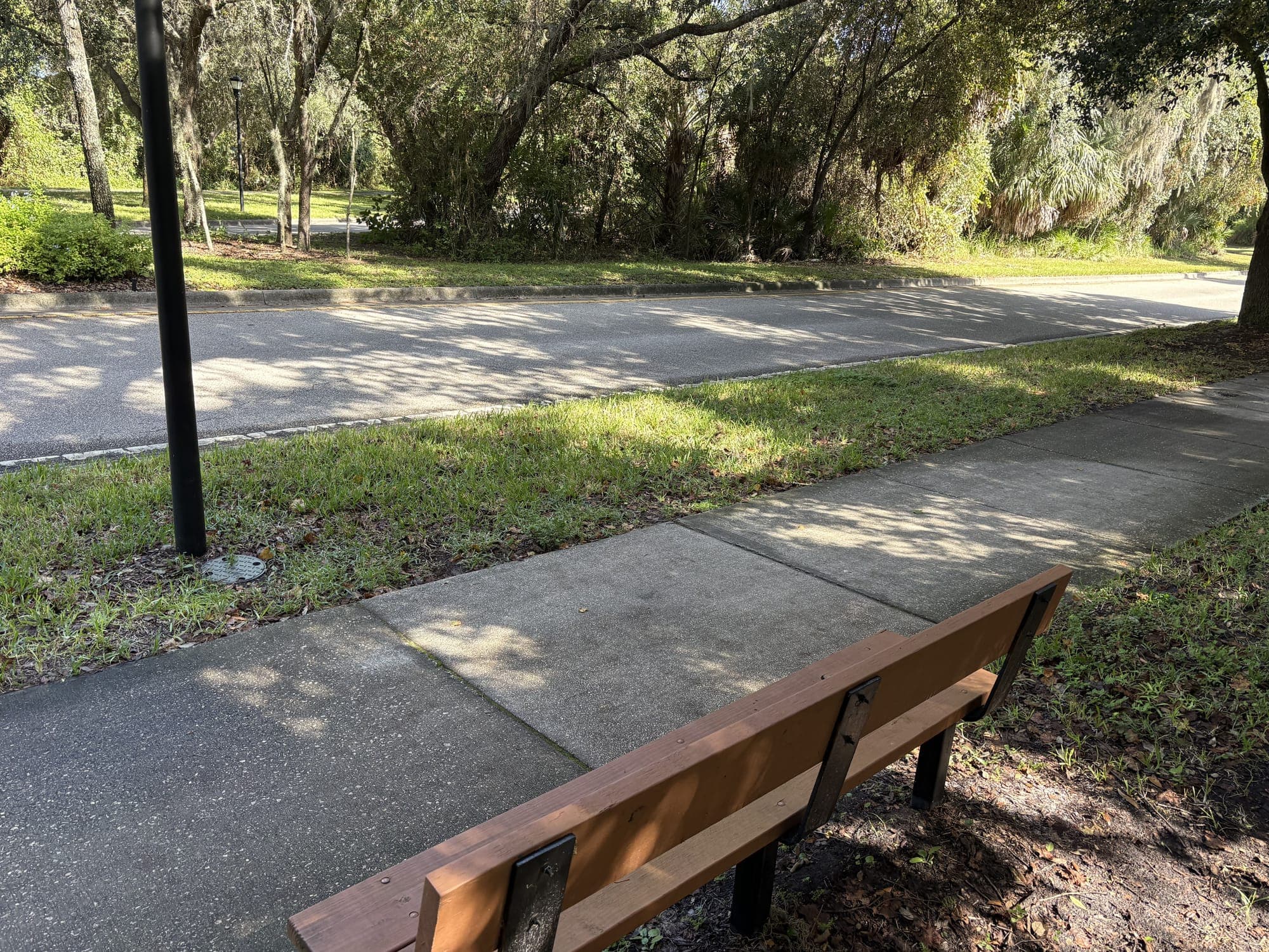 The edge of the bench beside a black post, with the sidewalk and road behind.