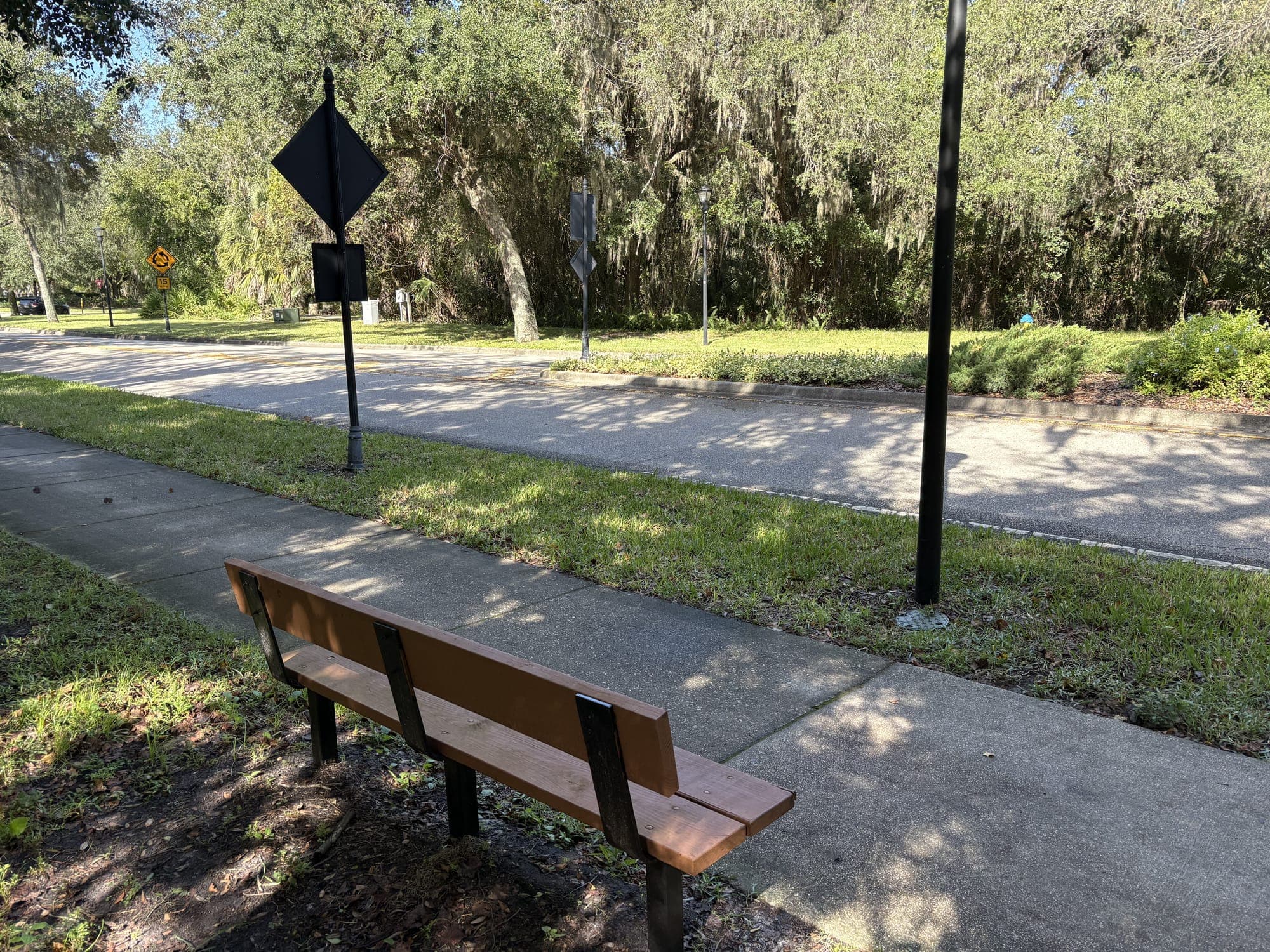 The bench next to the sidewalk under oak trees, with a diamond-shaped road sign beyond it.