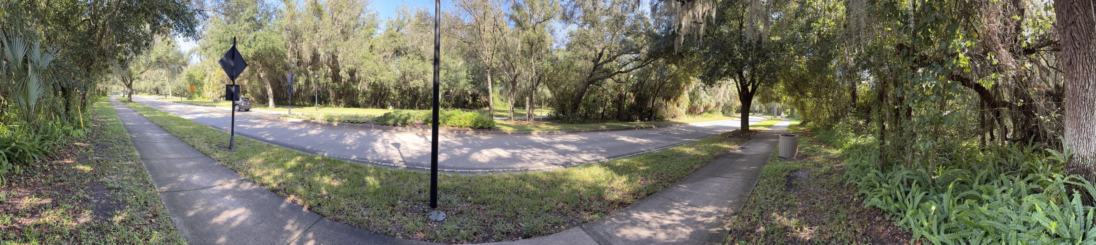 Panorama around the bench: palmettos on the left, the road curving past, and a trash can by the path on the right.