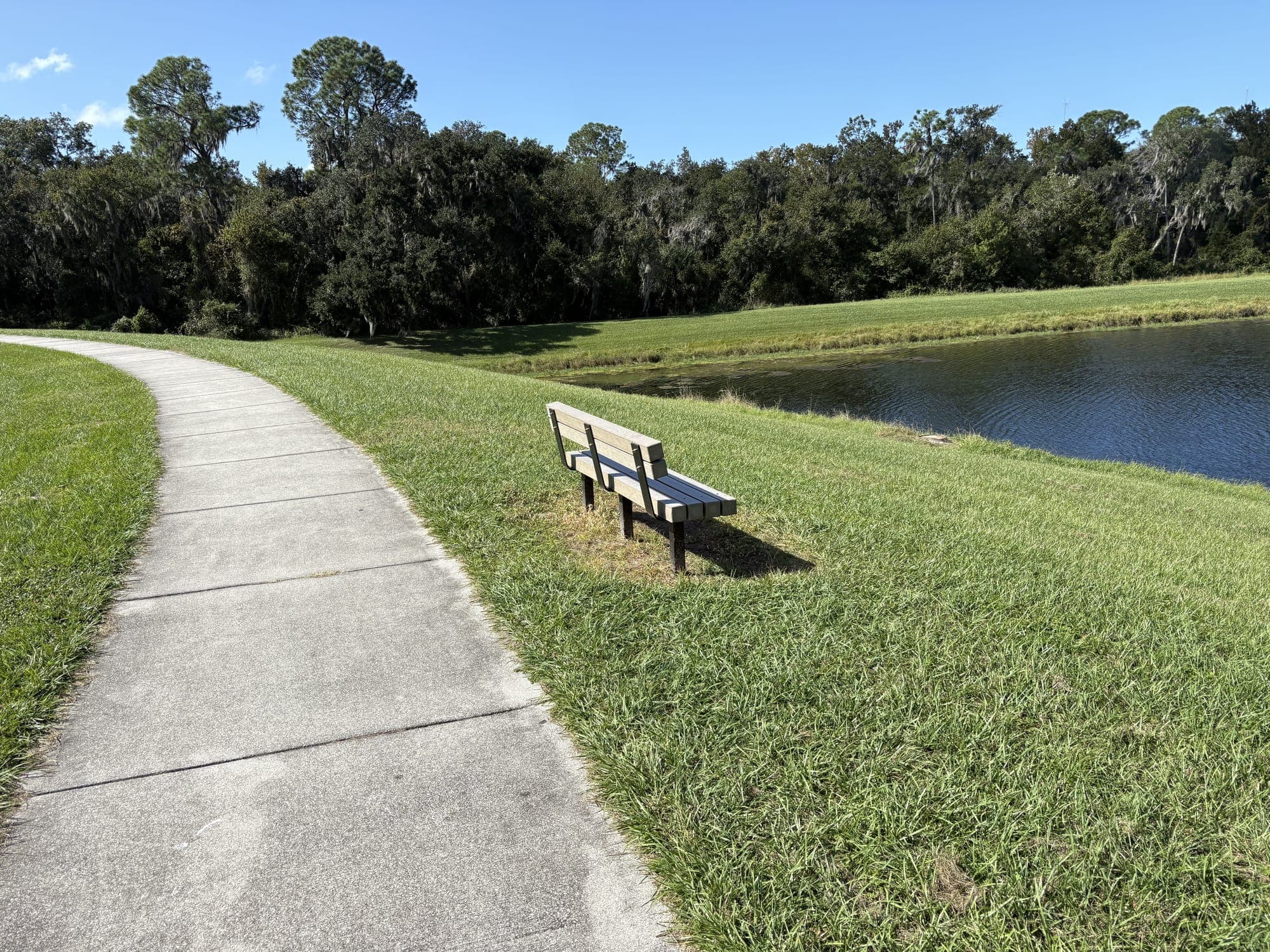 The bench alone on a grassy rise beside a curving path, with a pond behind it.