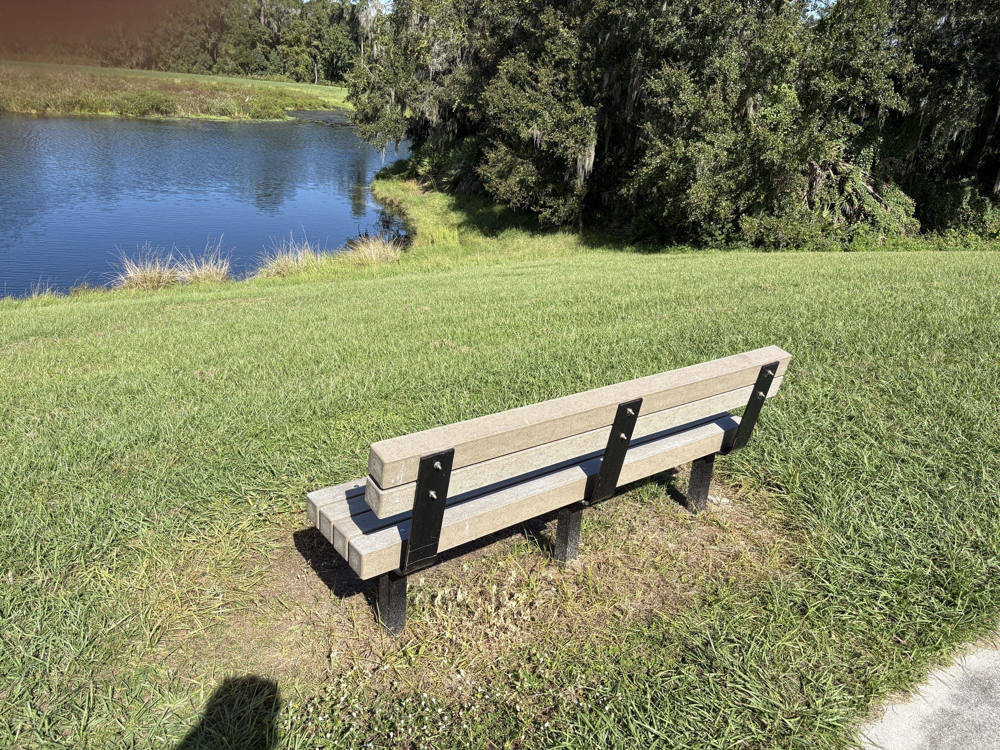 The bench from behind, looking toward the pond and the trees on the far shore.