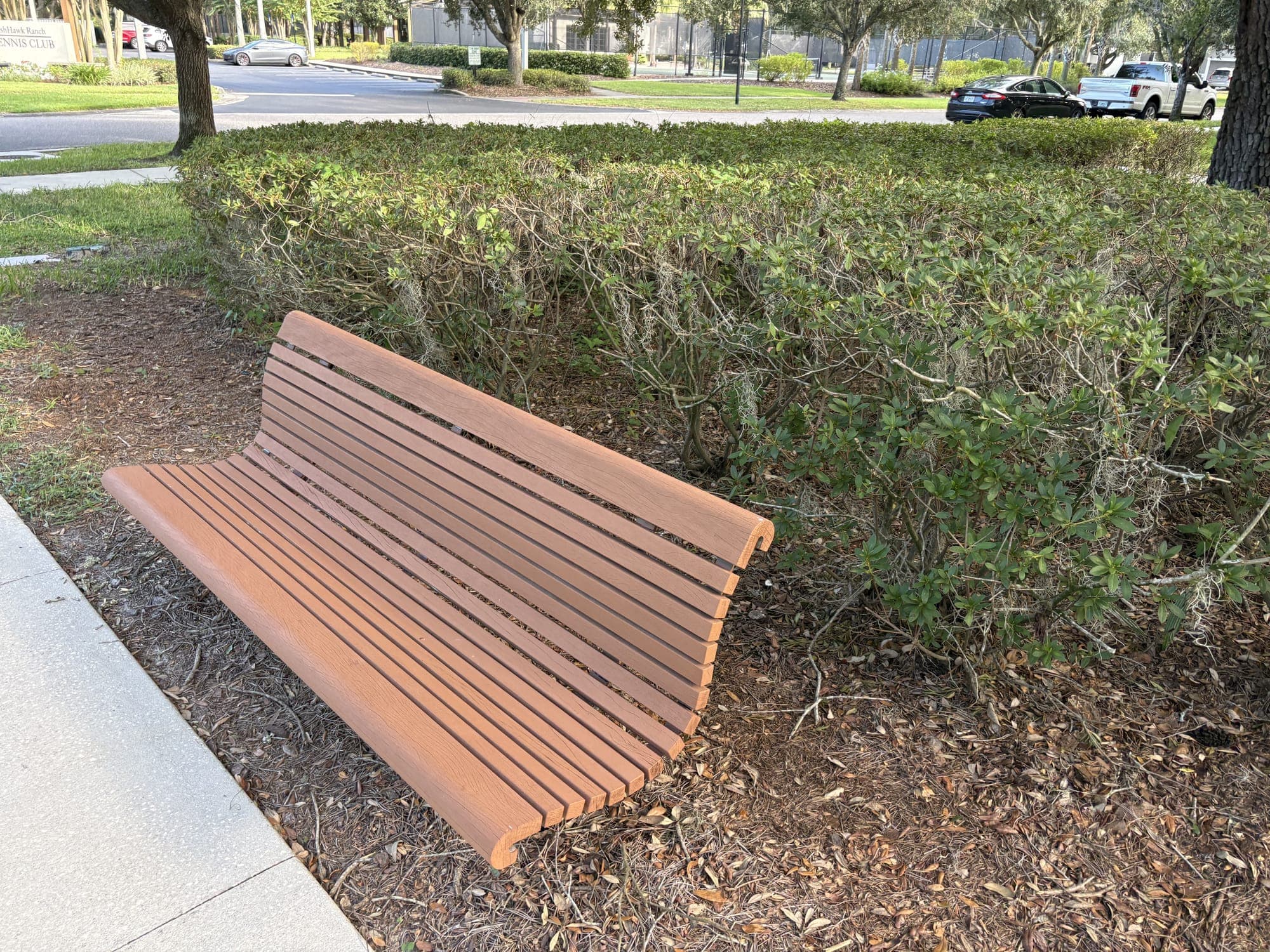 The bench beside the sidewalk with a hedge behind it and the street ahead.