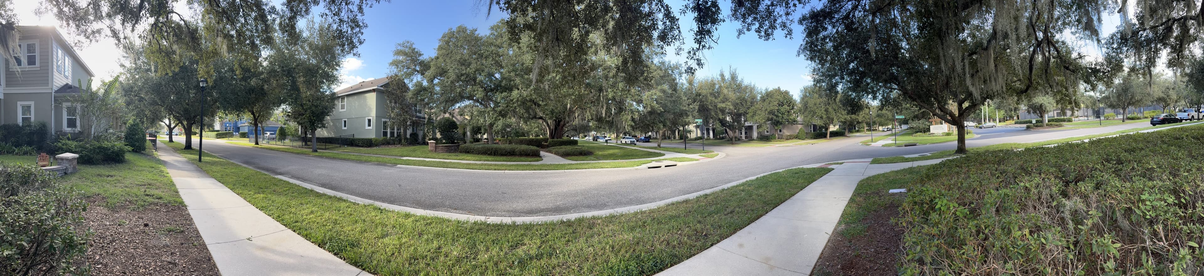 Panorama from the bench: a sidewalk and grass in front, a curving street, and big oaks along the far side.