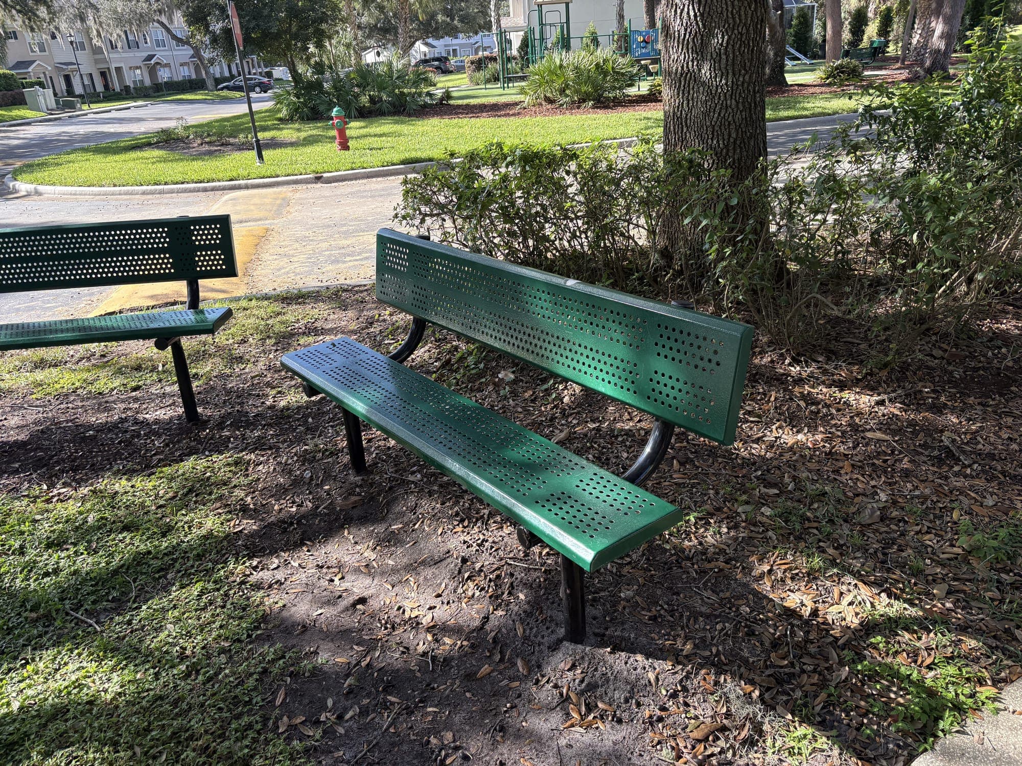 Two green benches under an oak on a mulch bed, with the street beyond.