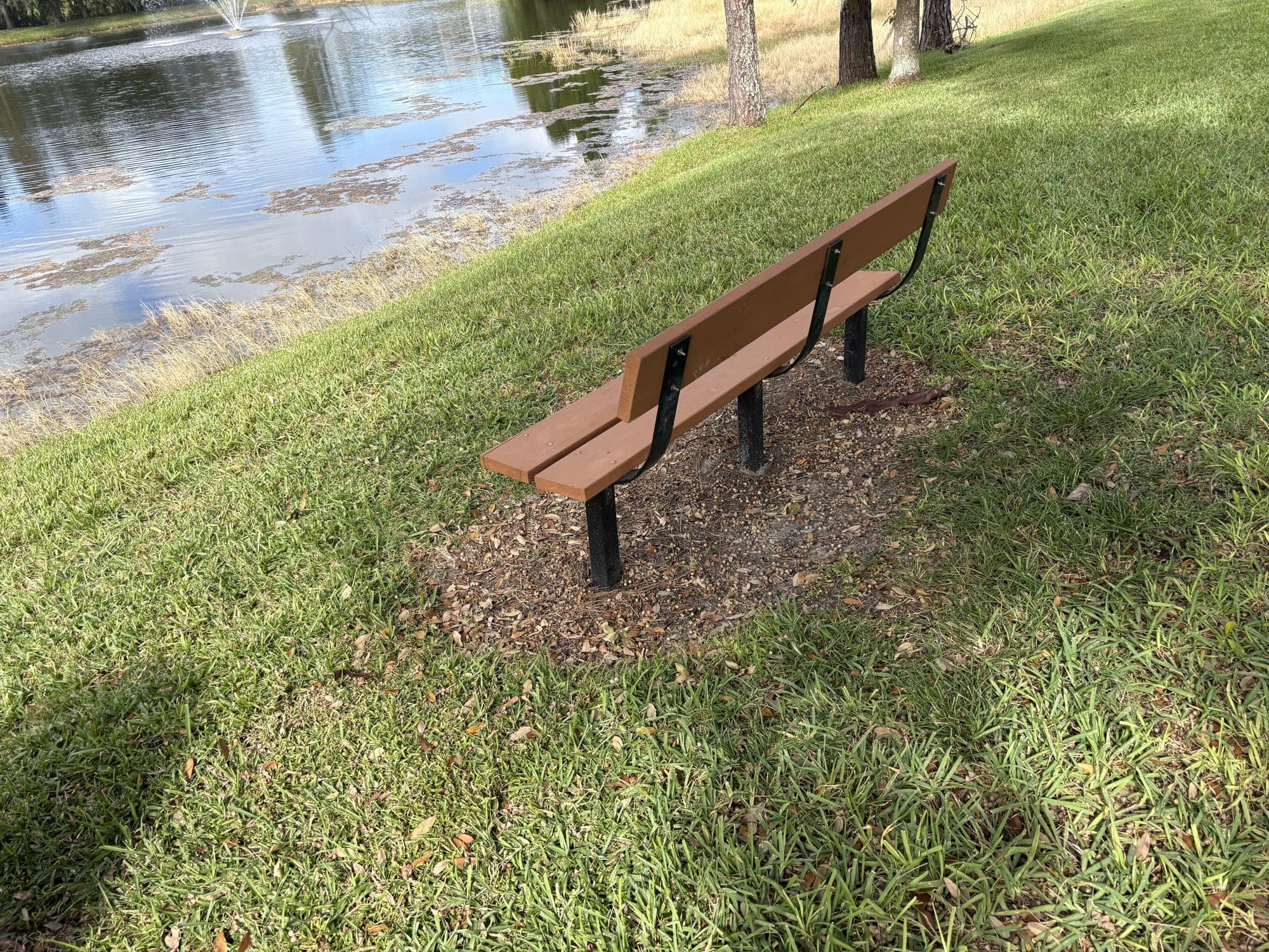 The bench on the slope above the pond, with water just below.