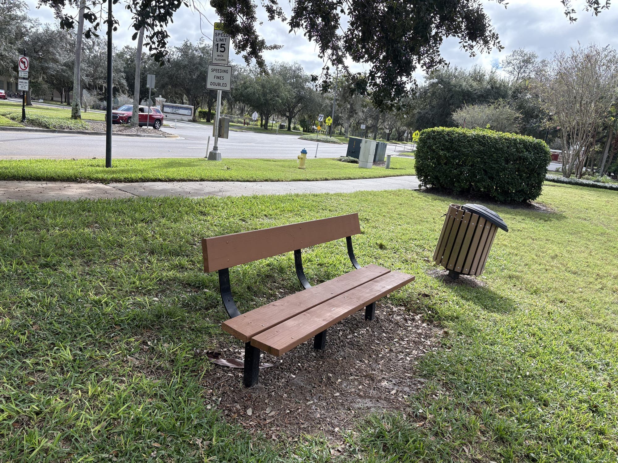 The bench and trash can from behind, with a hedge and the road beyond.