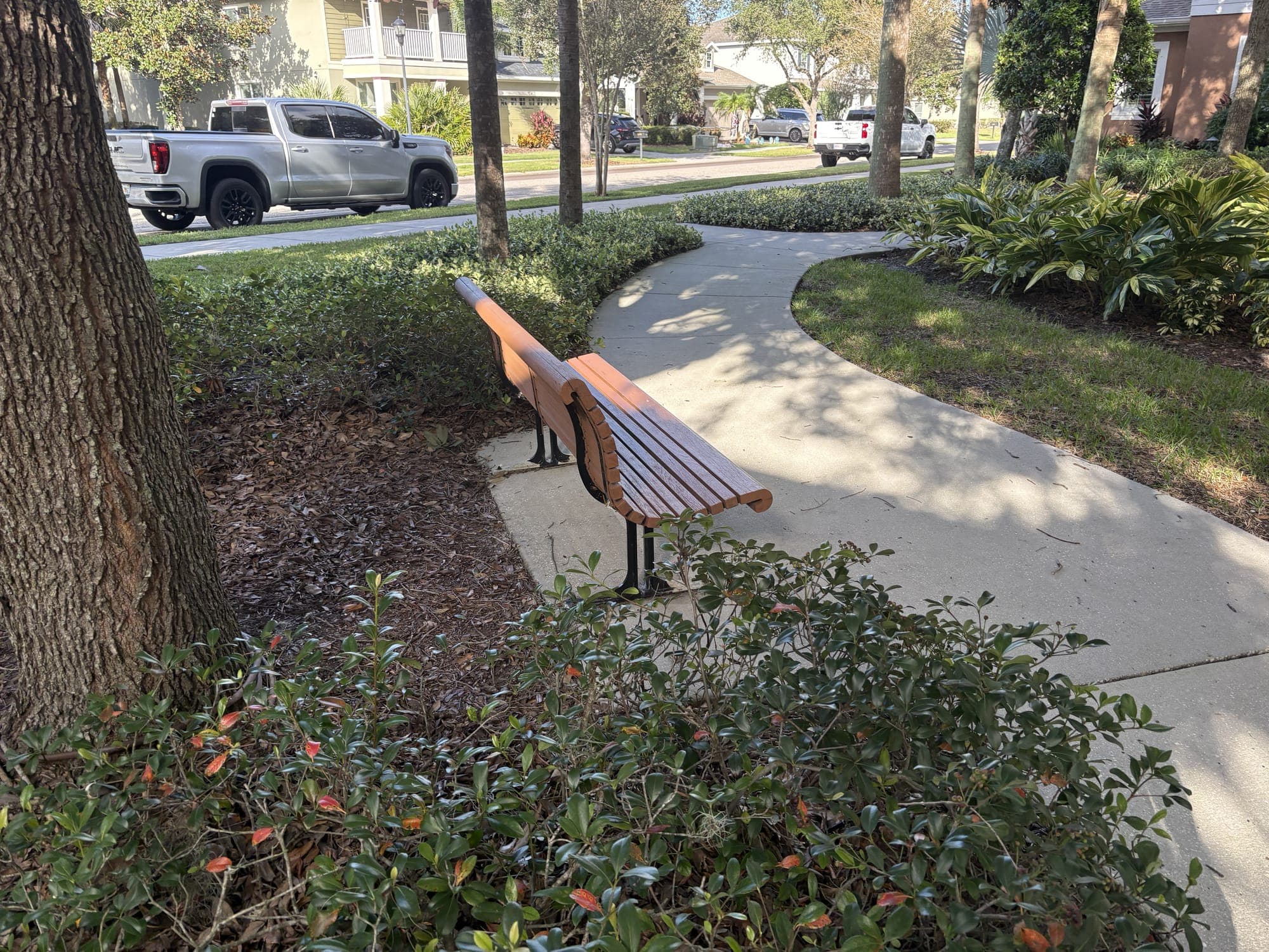 The bench by a palm trunk, the path curving away and a parked truck on the street beyond.