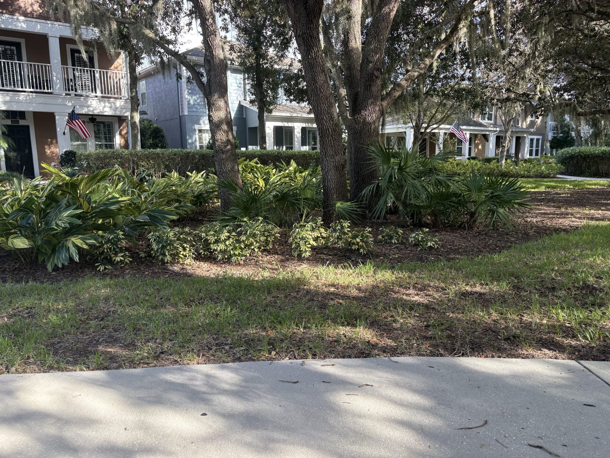 The view from the bench: a sidewalk, a strip of lawn, leafy shrubs, oaks and two-storey houses.