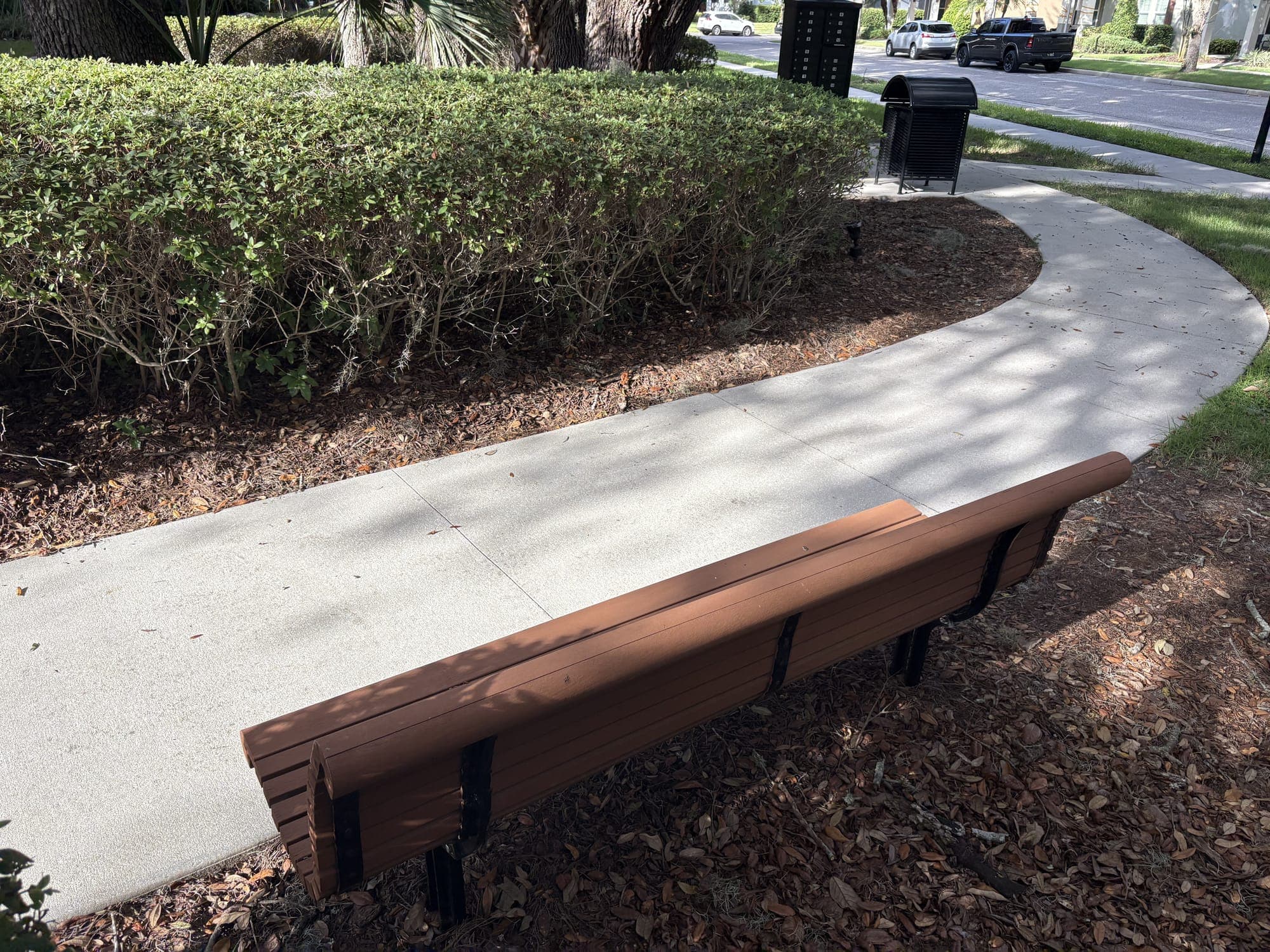 The bench from behind, the path curving past a hedge to a trash can and the street.