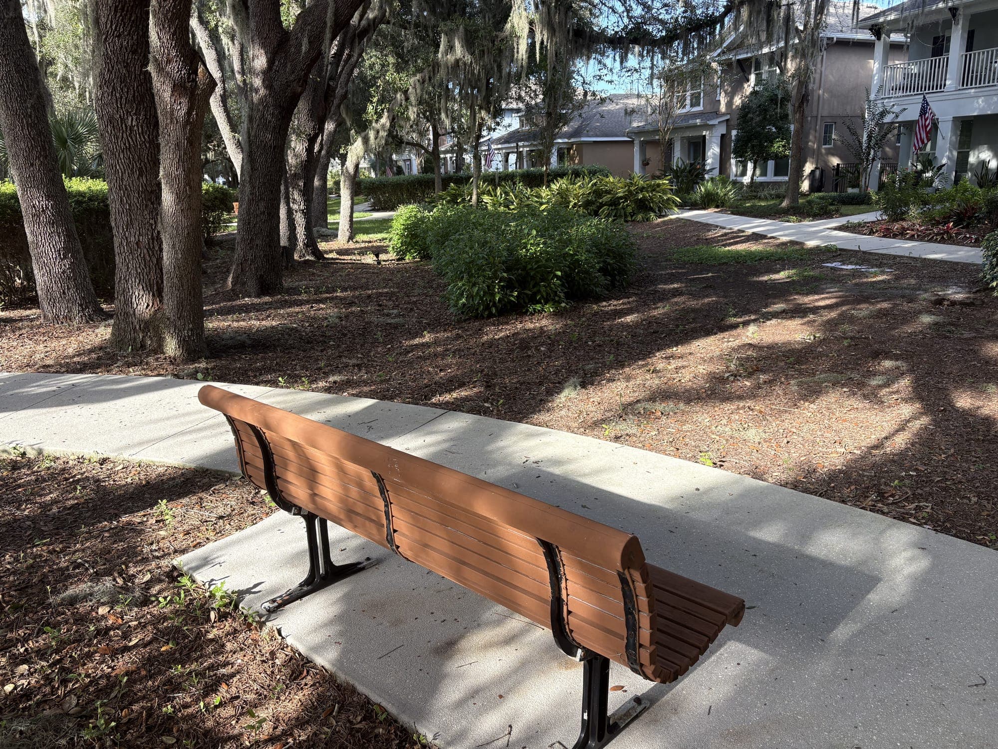 The bench beside the walk under oak trunks, with dappled light on the mulch.