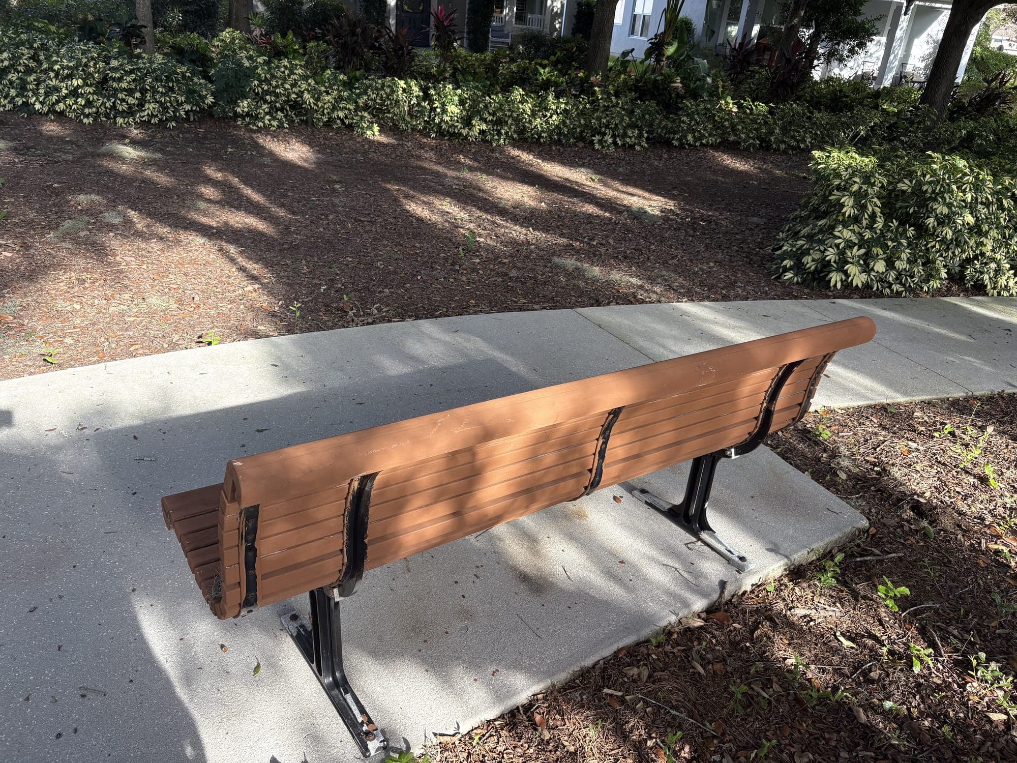 The bench from the side, a hedge and mulched ground beyond.