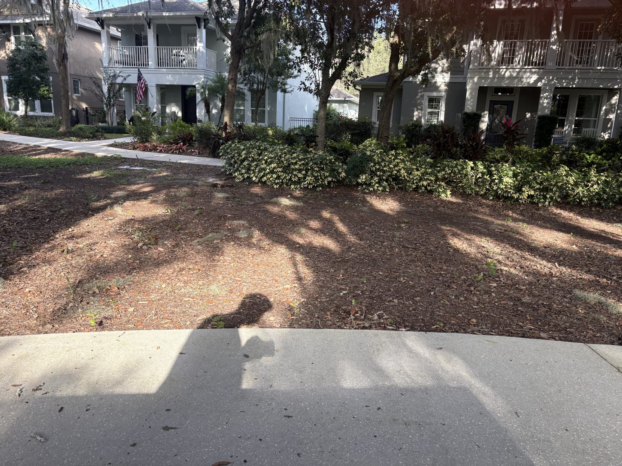 The view from the bench: dappled shade on a mulched clearing, a bed of shrubs, and two houses with porches.