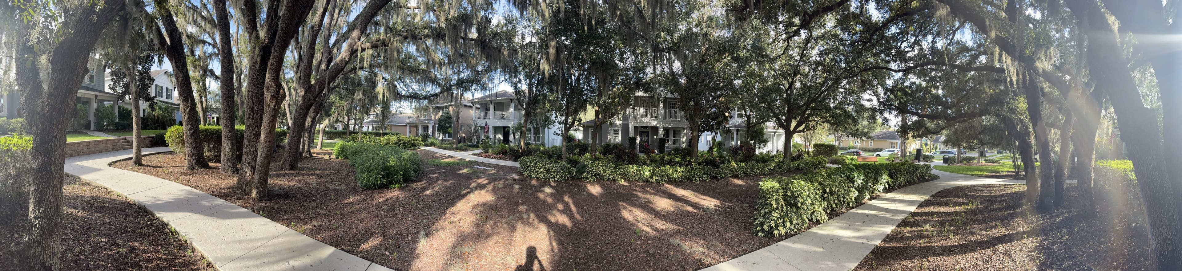 Panorama from the bench: a wide grove of mossy live oaks over mulch and paths, with houses beyond.
