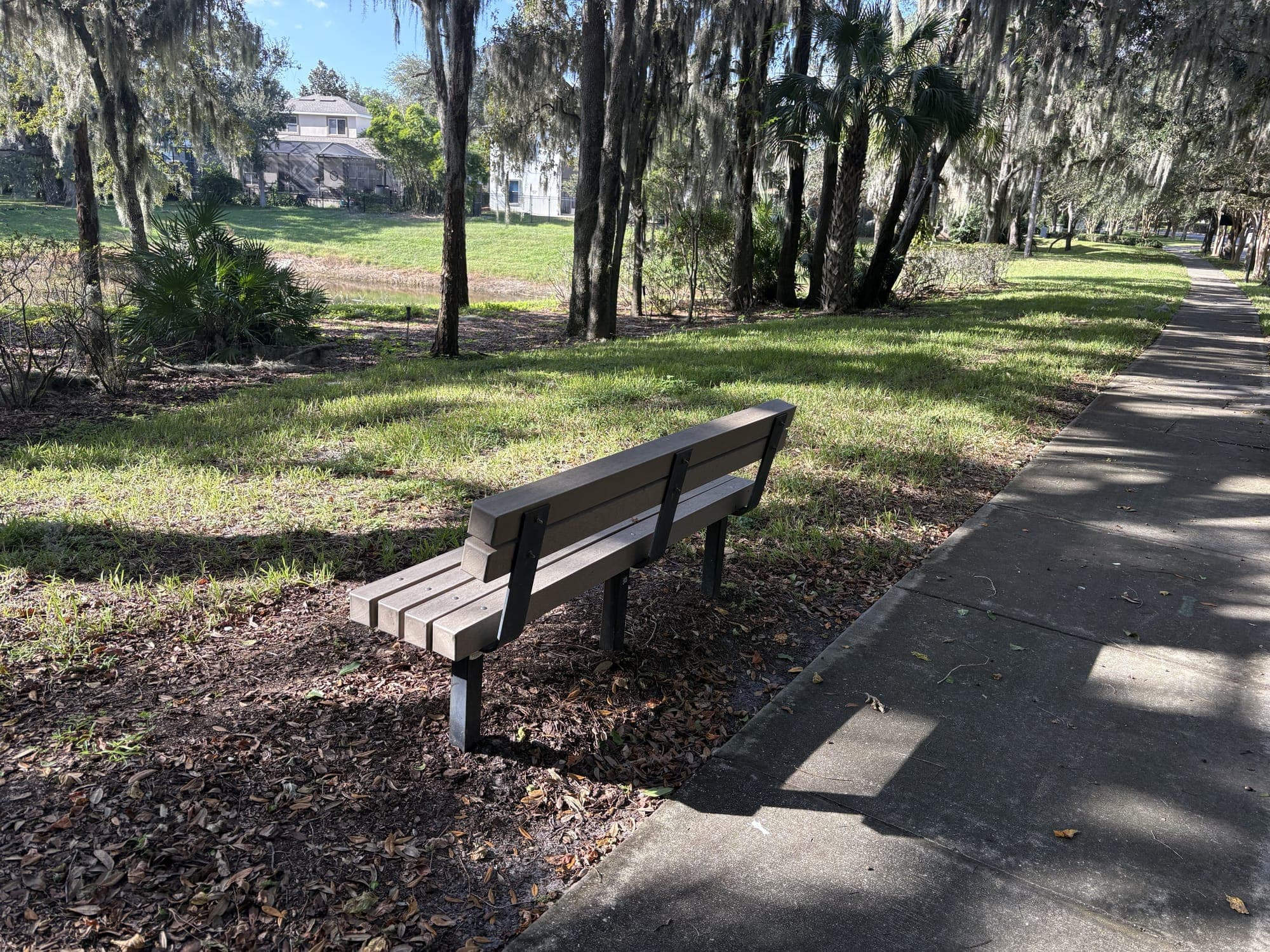 The bench beside a shady sidewalk under live oaks, a lawn and houses in the distance.
