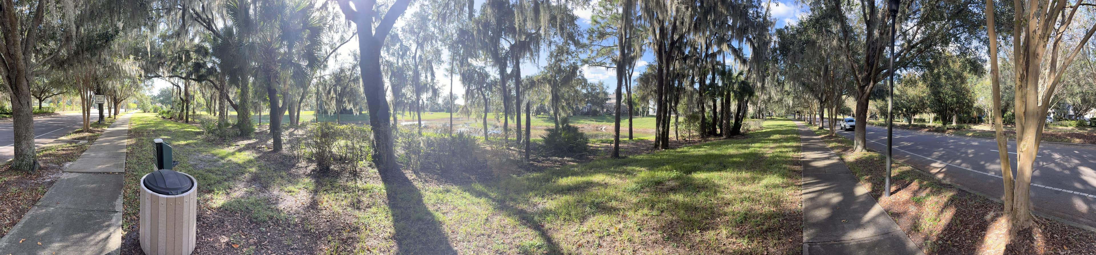 Panorama from the bench: a sidewalk and trash can on the left, oaks and a lawn in the middle, and a road on the right.