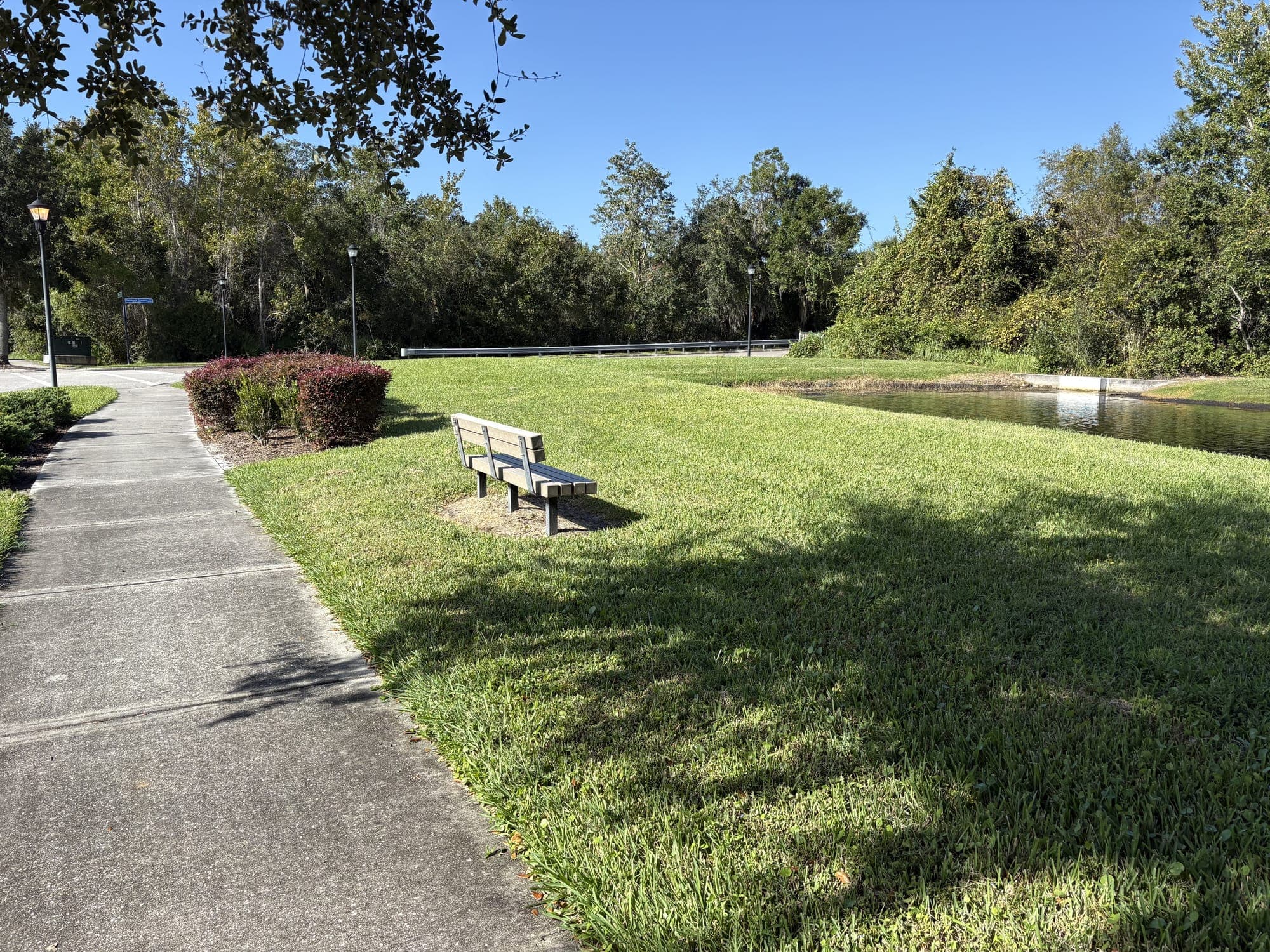 The bench seen from the sidewalk, sitting on an open lawn beside a row of red shrubs and street lamps.
