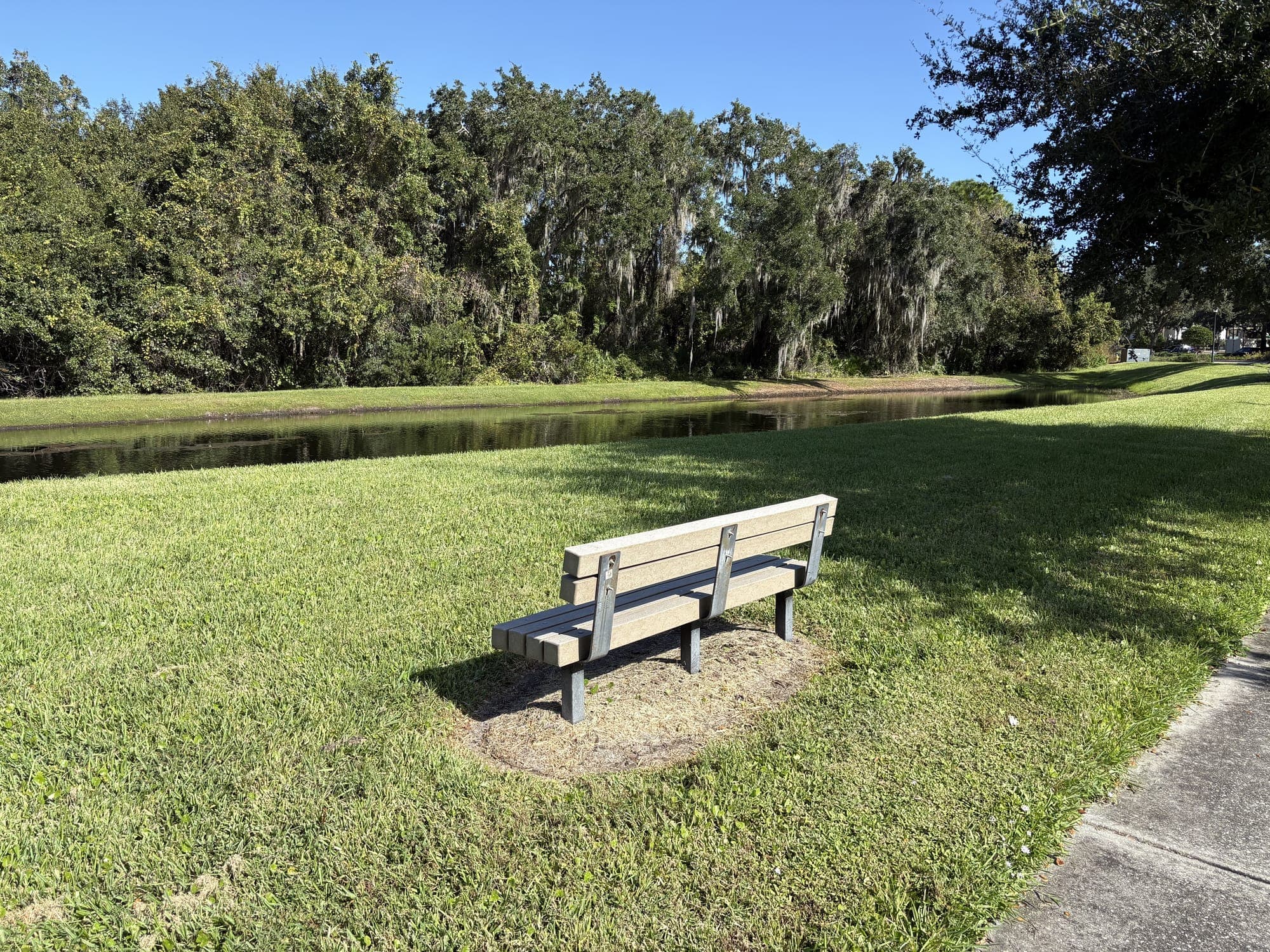 Side view of the bench on its patch of sand, with the pond and a line of trees behind it.