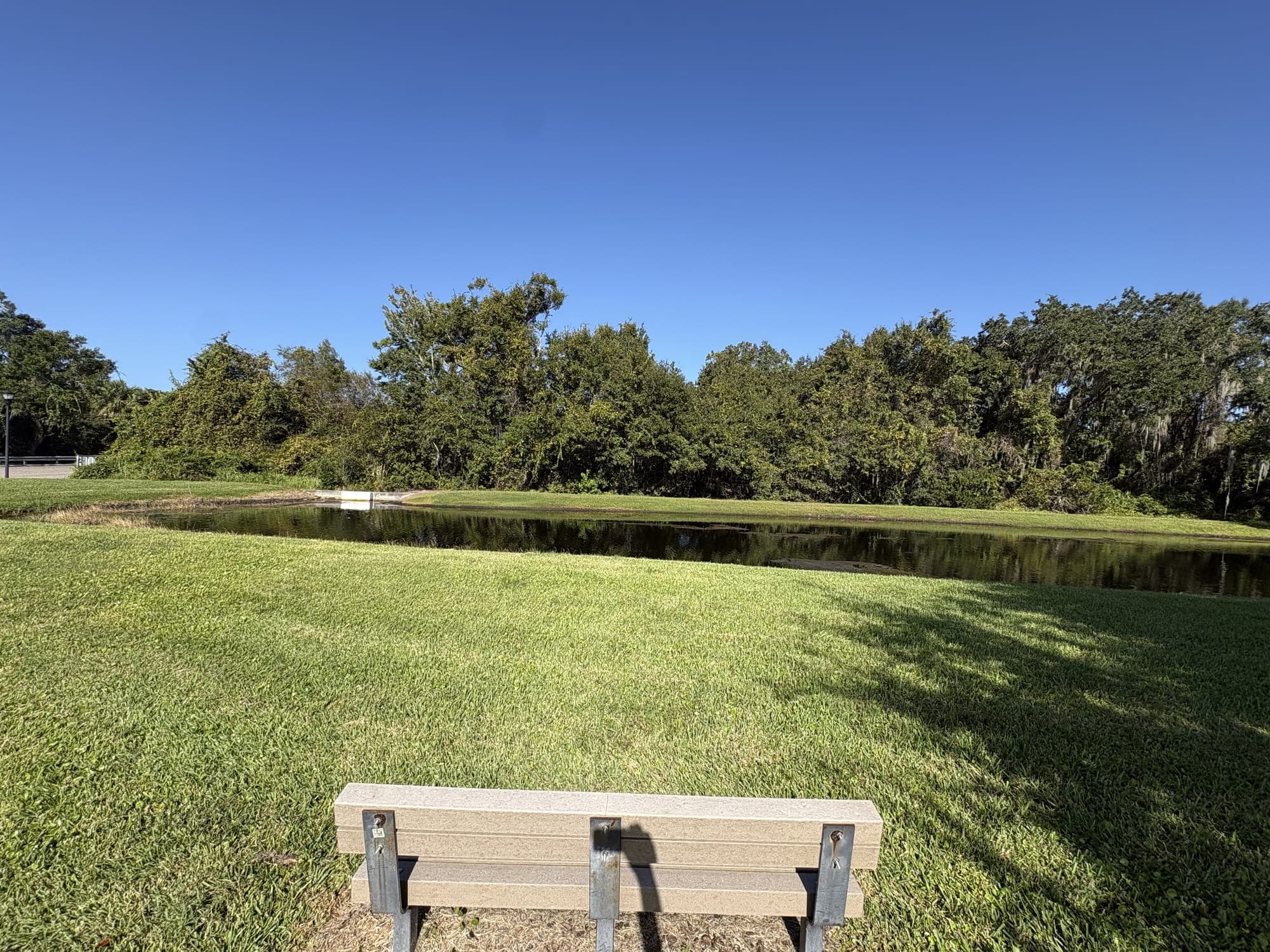 The end of the bench in the foreground with the pond and trees across the lawn under a clear blue sky.