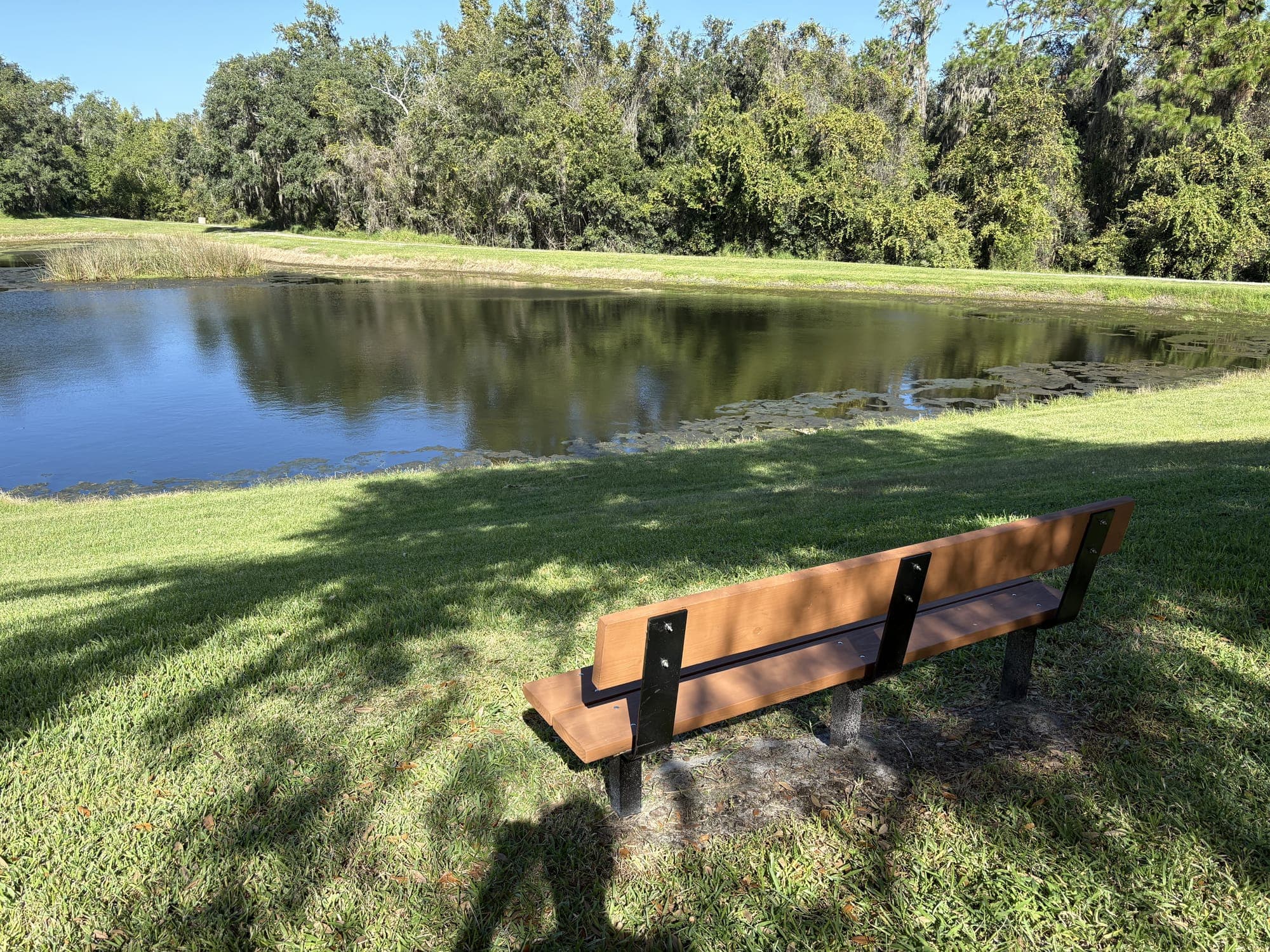The corner of the bench in the shade of an oak, looking down a lawn to the pond.