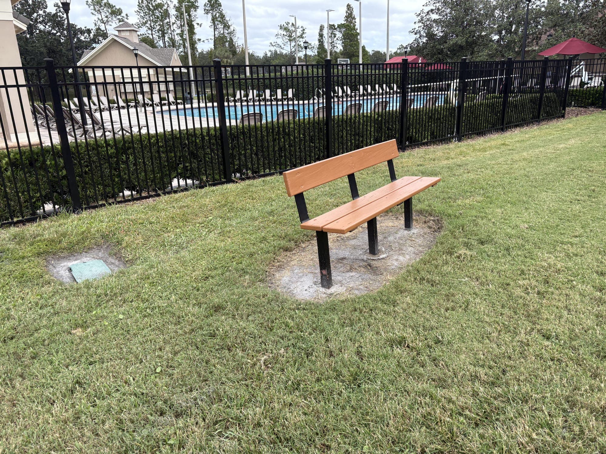 The bench on the lawn beside the black pool fence and hedge.