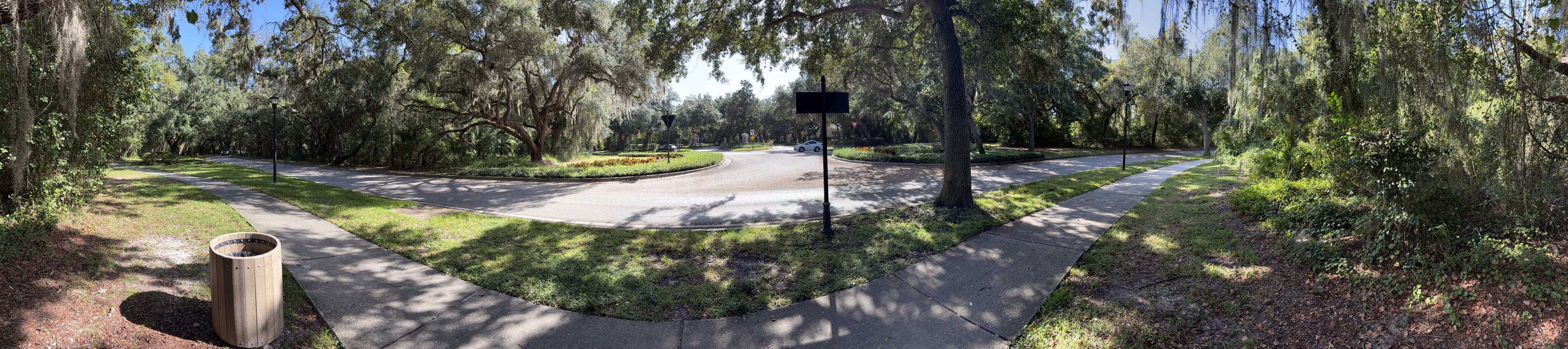 Panorama around the bench: a trash can on the left, the curve of the roundabout, and dense oaks on both sides.