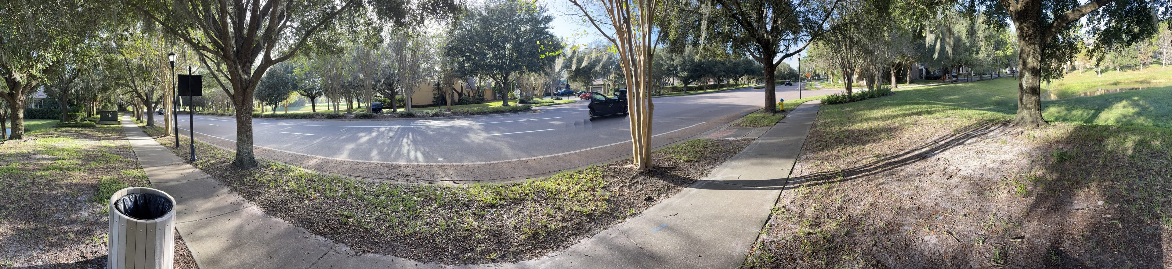 Panorama from the bench: the sidewalk and lampposts on the left, the road, and a grassy slope with trees on the right.