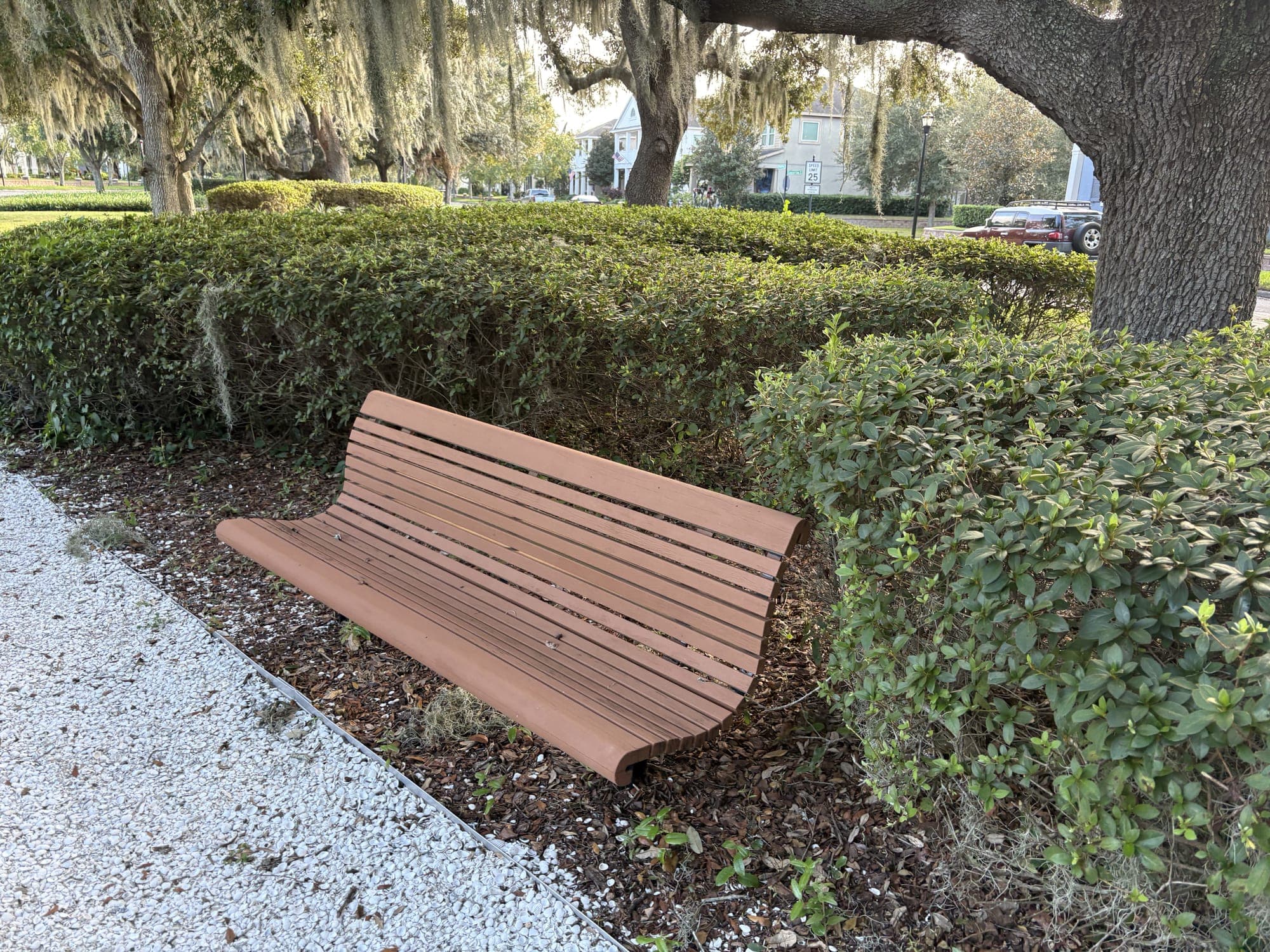 The bench nestled between two hedges on the shell path.