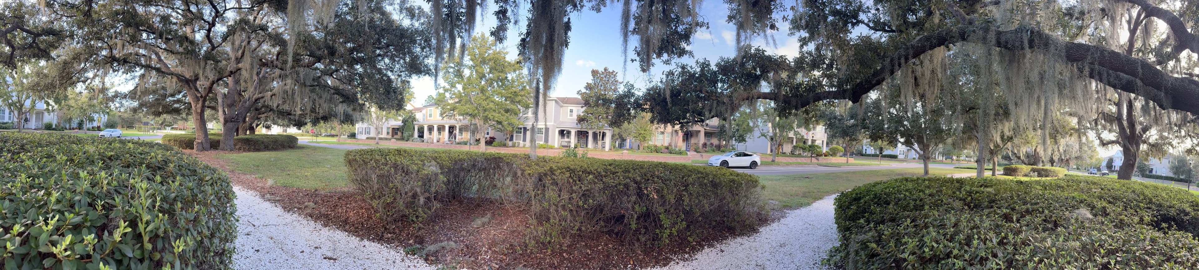Panorama from the bench: hedges and shell paths in front, a lawn and big mossy oaks, houses in the distance.