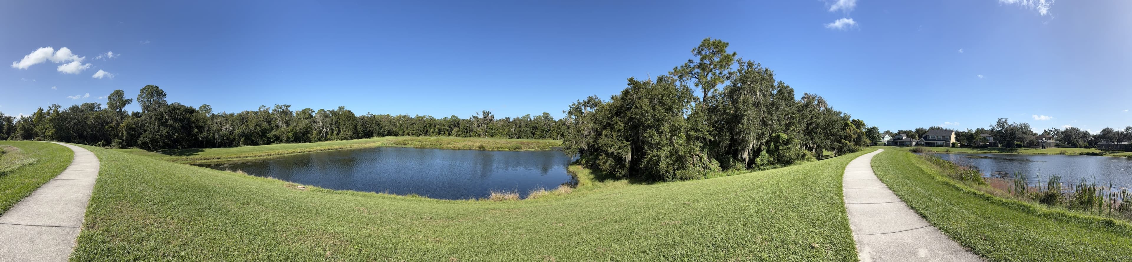 Panorama from the rise: one pond on the left, a second pond on the right, and paths leading away on both sides.
