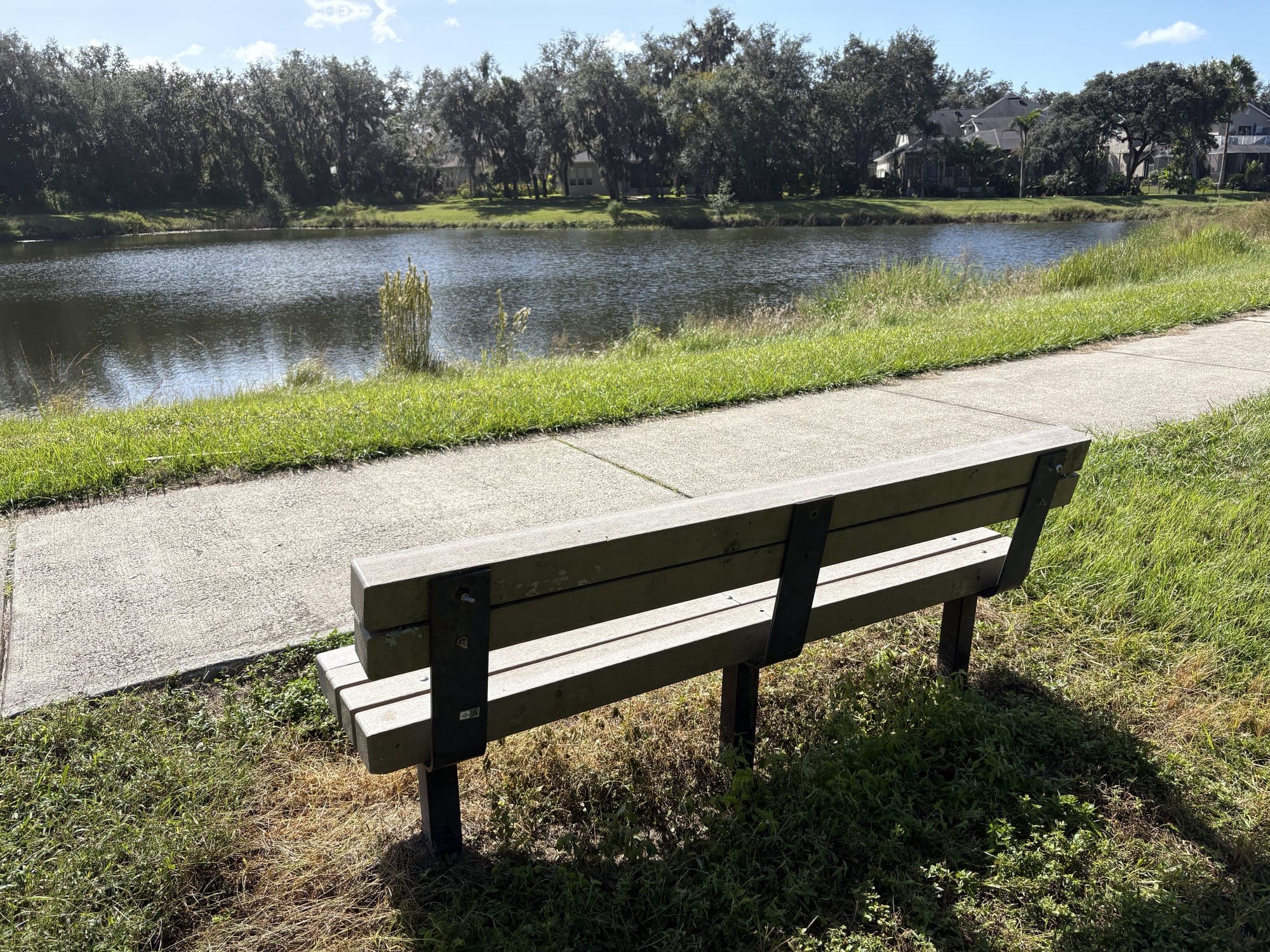 The bench beside the path, facing a pond with trees on the far shore.