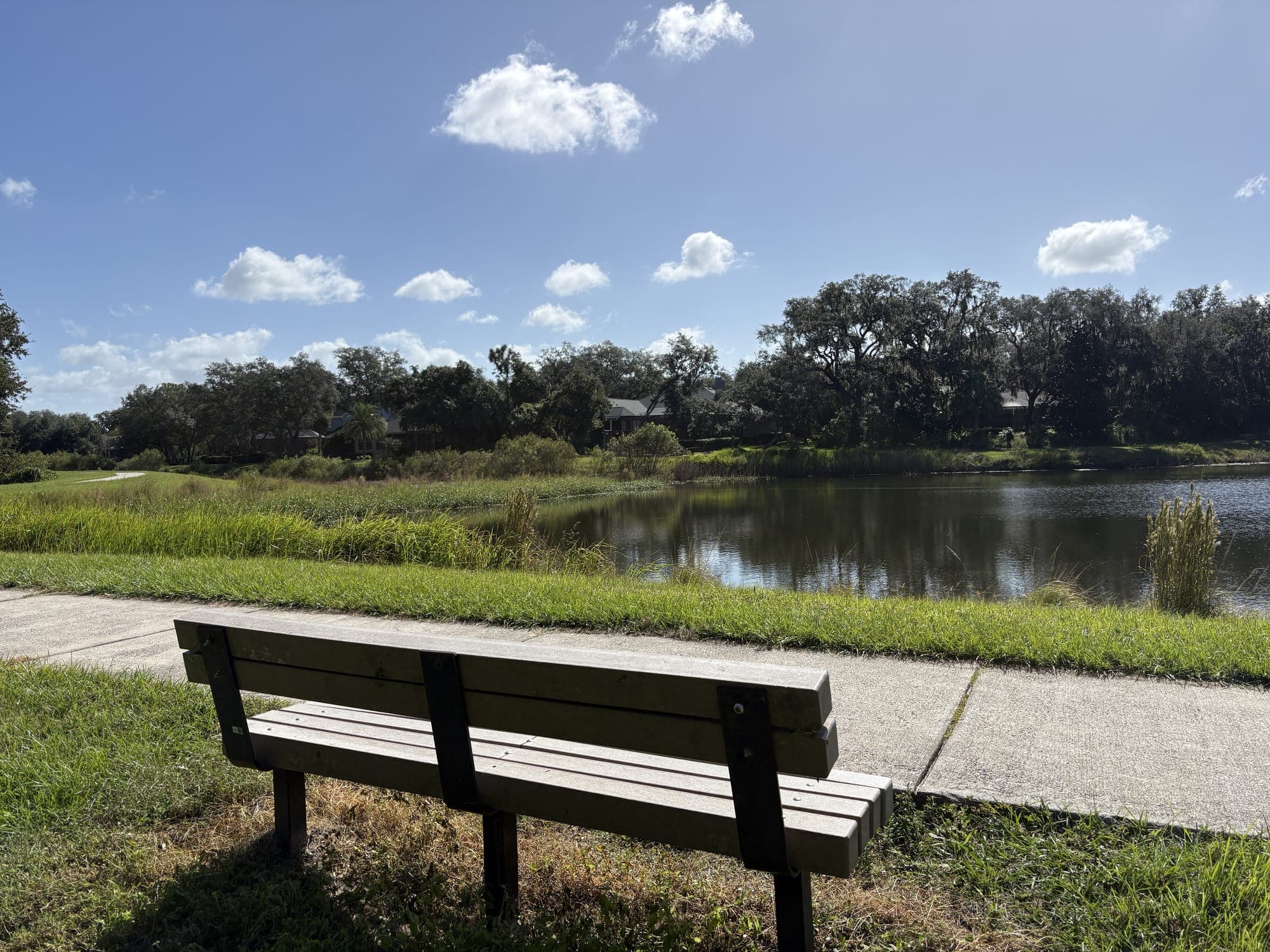 The bench from behind under a blue sky with scattered clouds, the pond beyond.
