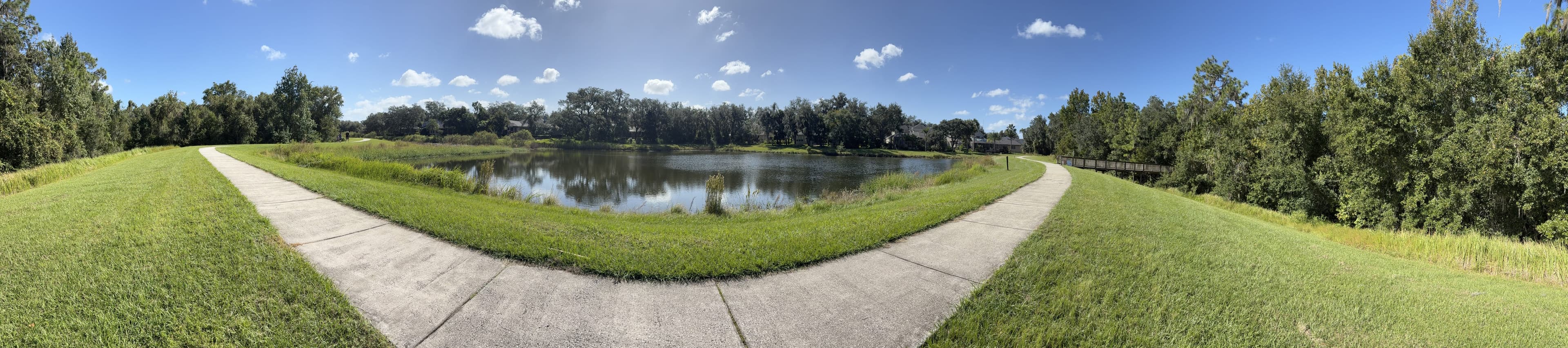 Panorama from the bench: a path curving around a reedy pond, woods all around, and a boardwalk on the right.