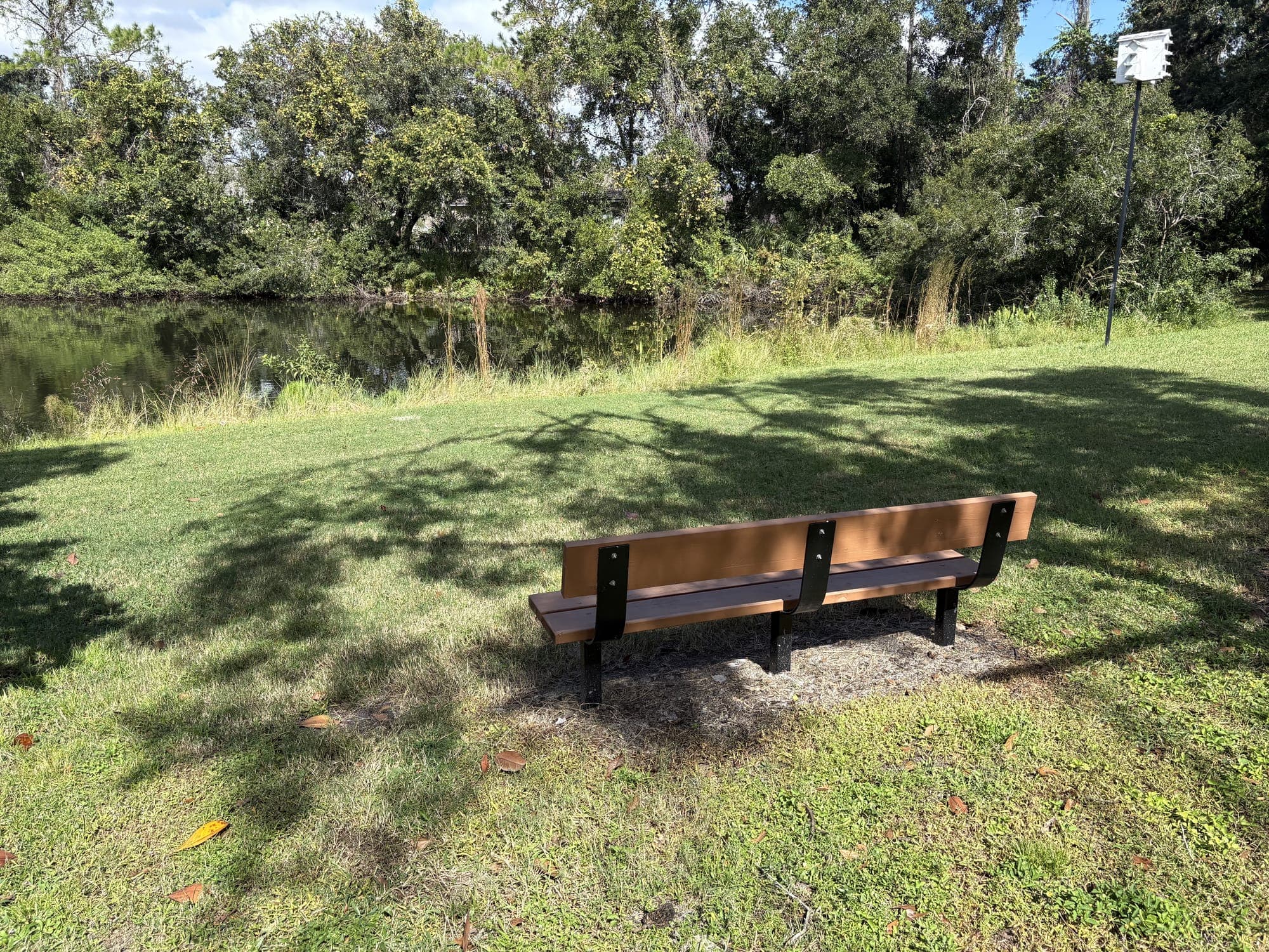 The bench on a lawn, facing a pond edged with trees.