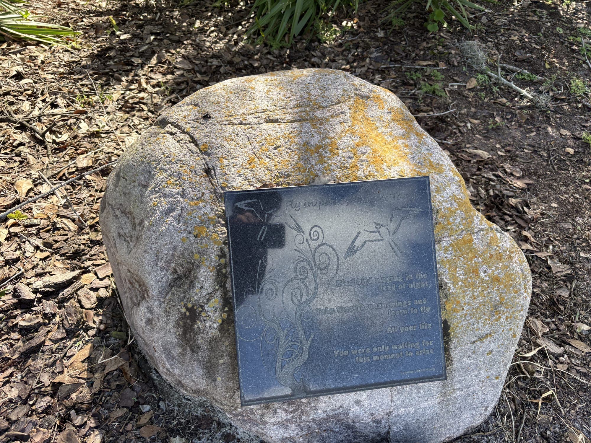A stone with an engraved memorial plaque in the planting bed beside the bench.