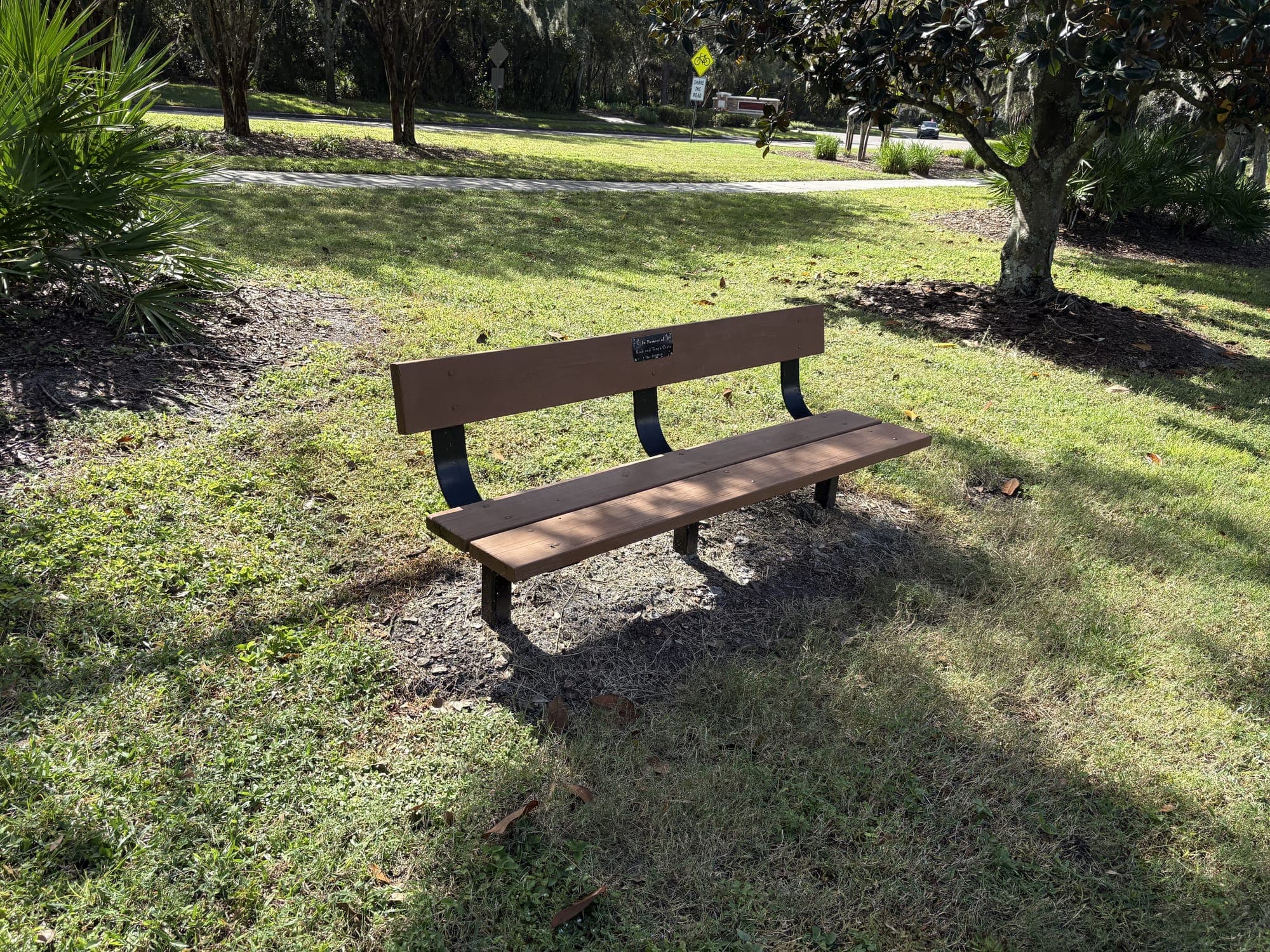 The bench from the side, palmettos and oaks behind it.