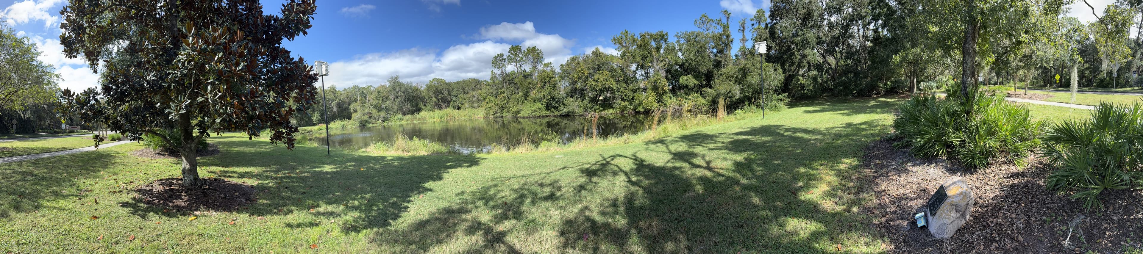Panorama from the bench: a magnolia on the left, the pond and woods in the middle, palmettos and a stone on the right.