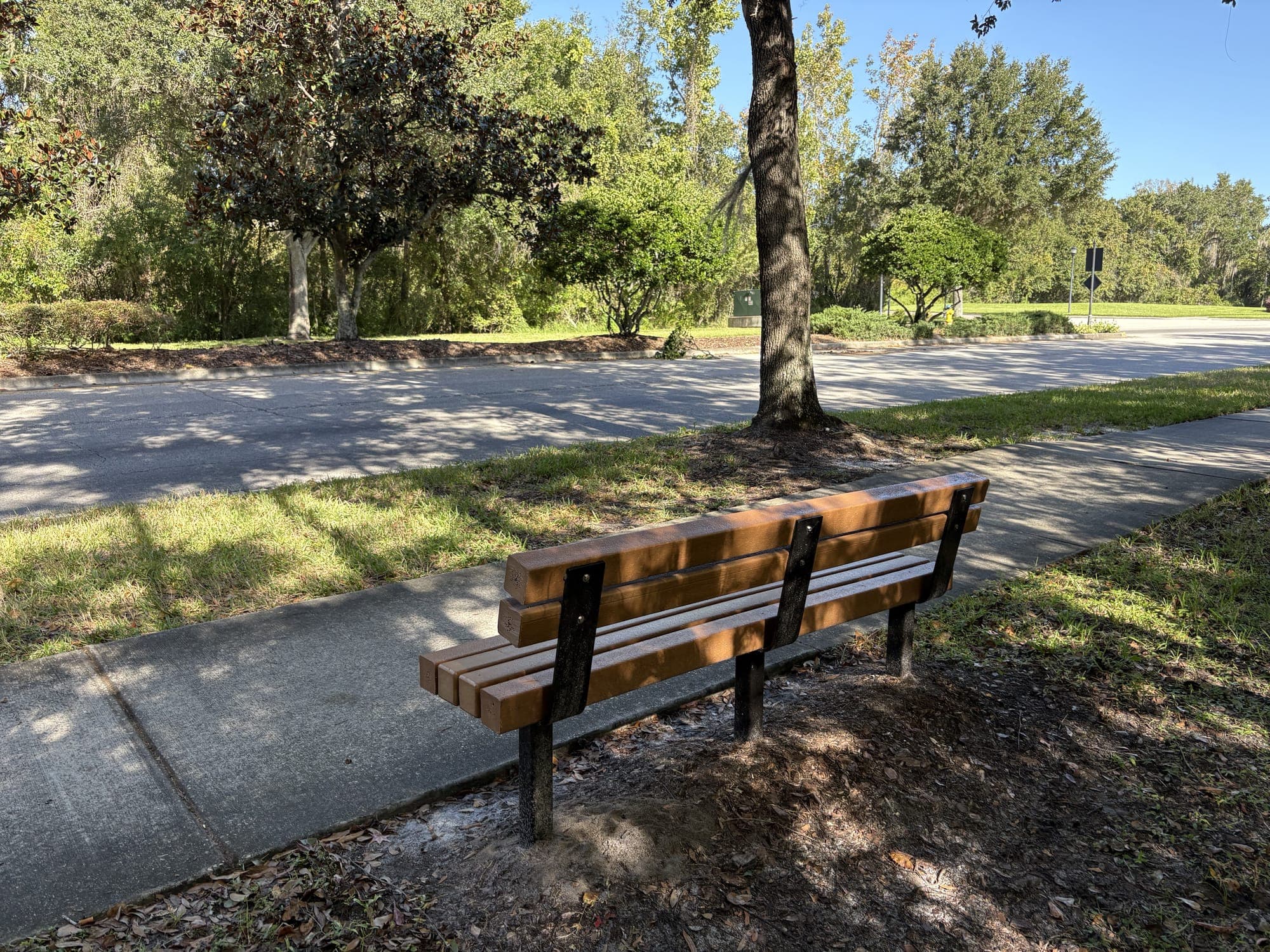 Front view of the wooden bench on the sidewalk's edge, with the road and trees beyond.