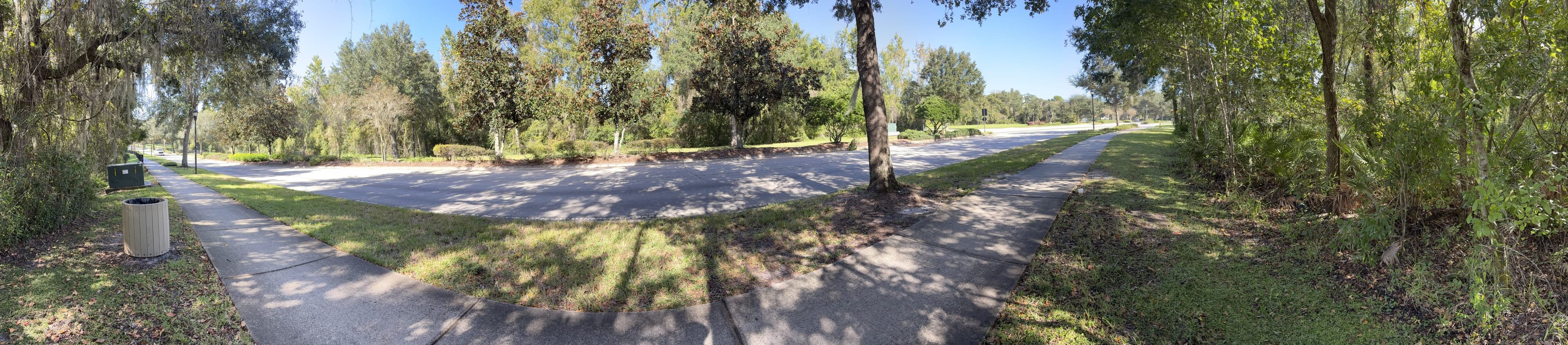 Panorama around the bench: a trash can and utility box on the left, the road curving in front, and thick woods on the right.