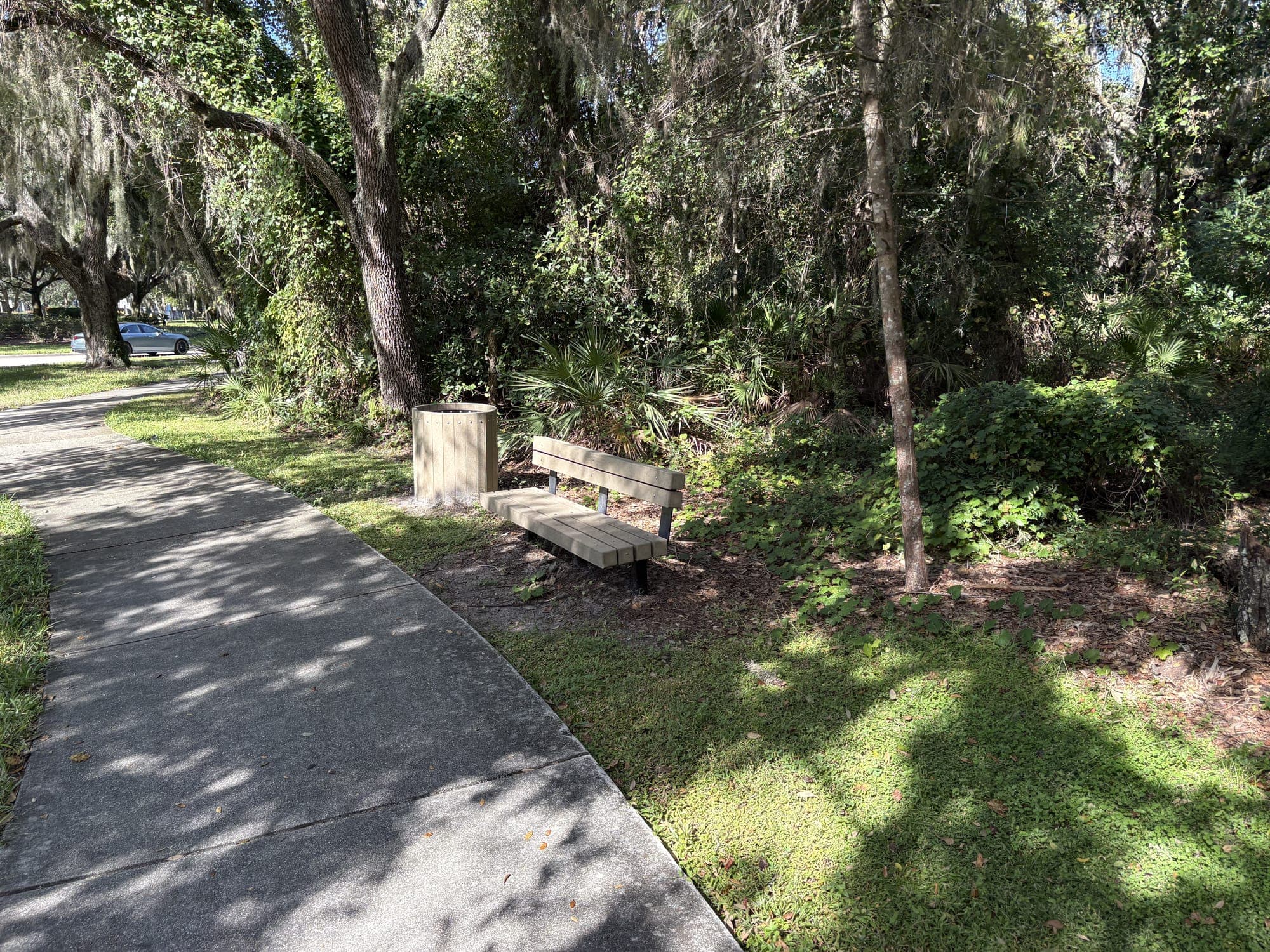 The bench beside a winding sidewalk under oaks hung with Spanish moss.