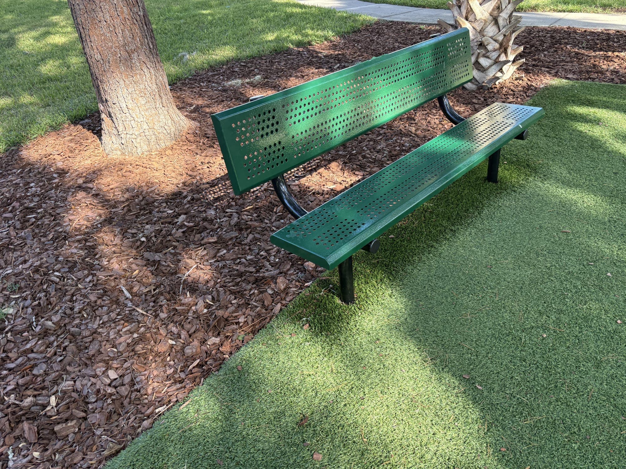 The green metal bench on turf, with mulch and a palm trunk behind it.