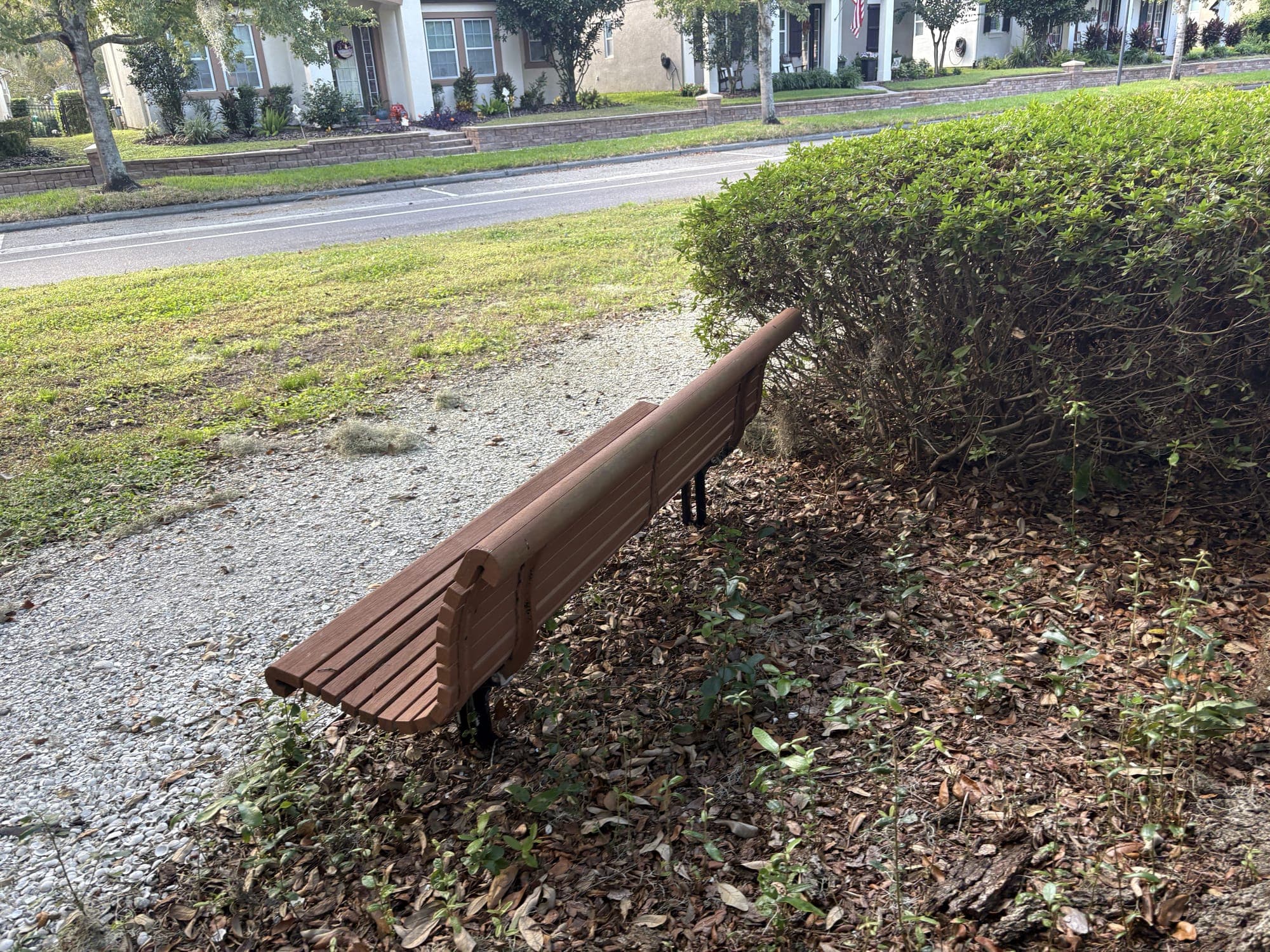 The bench beside a crushed-shell path, with a hedge behind it and a lawn and street beyond.