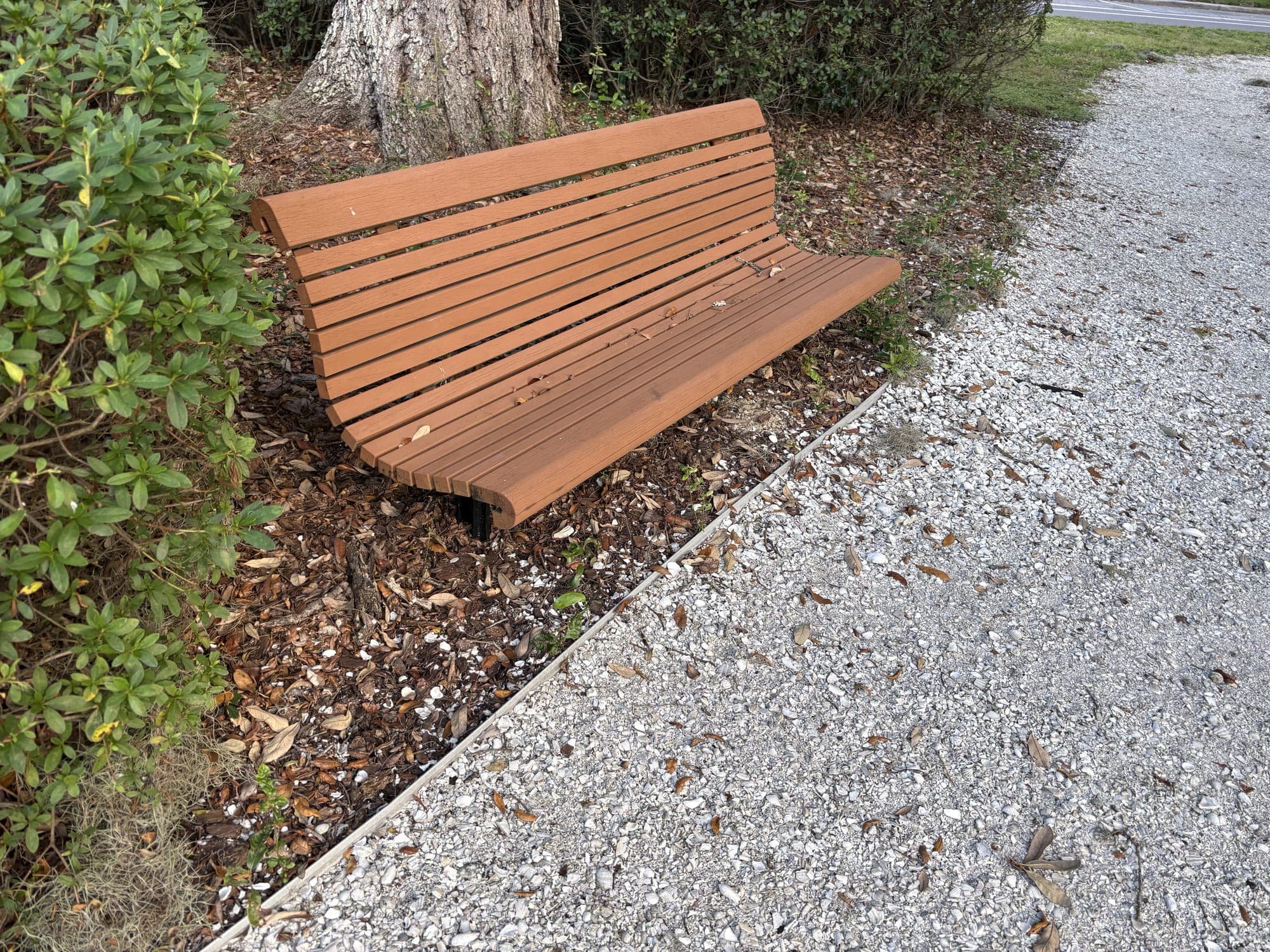 The bench set into the shrubs at the edge of the shell path.