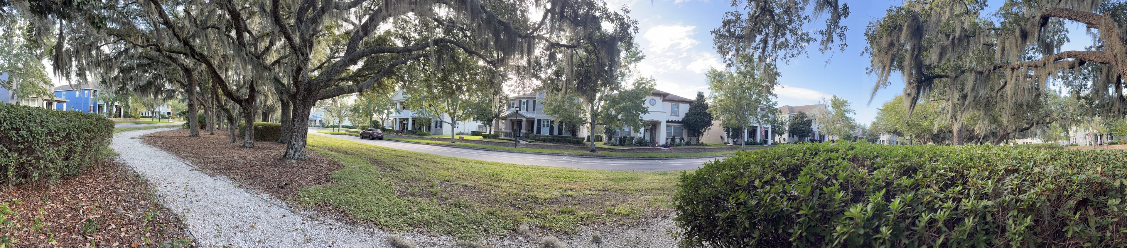 Panorama from the bench: a crushed-shell path winding under mossy oaks, a lawn, and houses across the street.