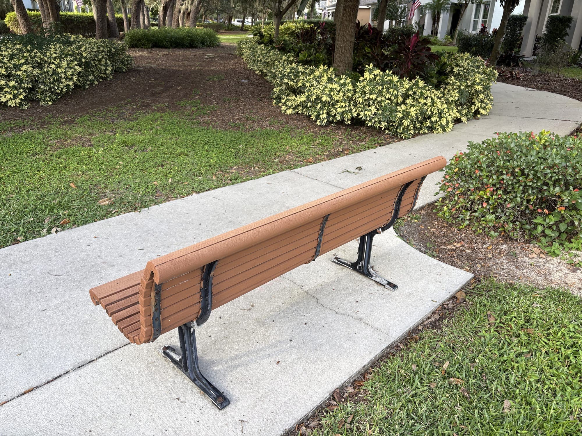 The bench beside the path, with shrubs and flower beds around it.